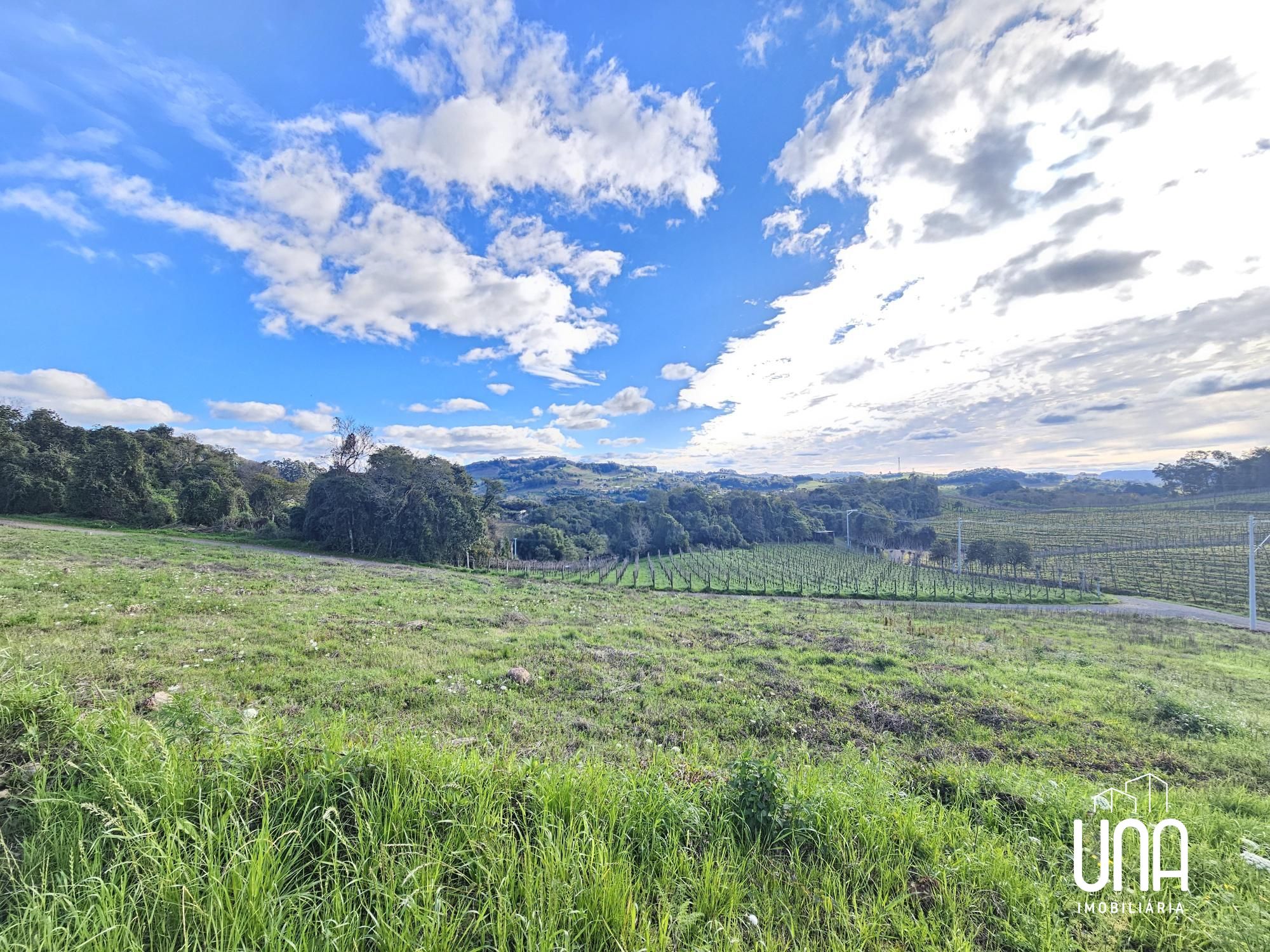 Terreno, 1000 m² - Foto 4