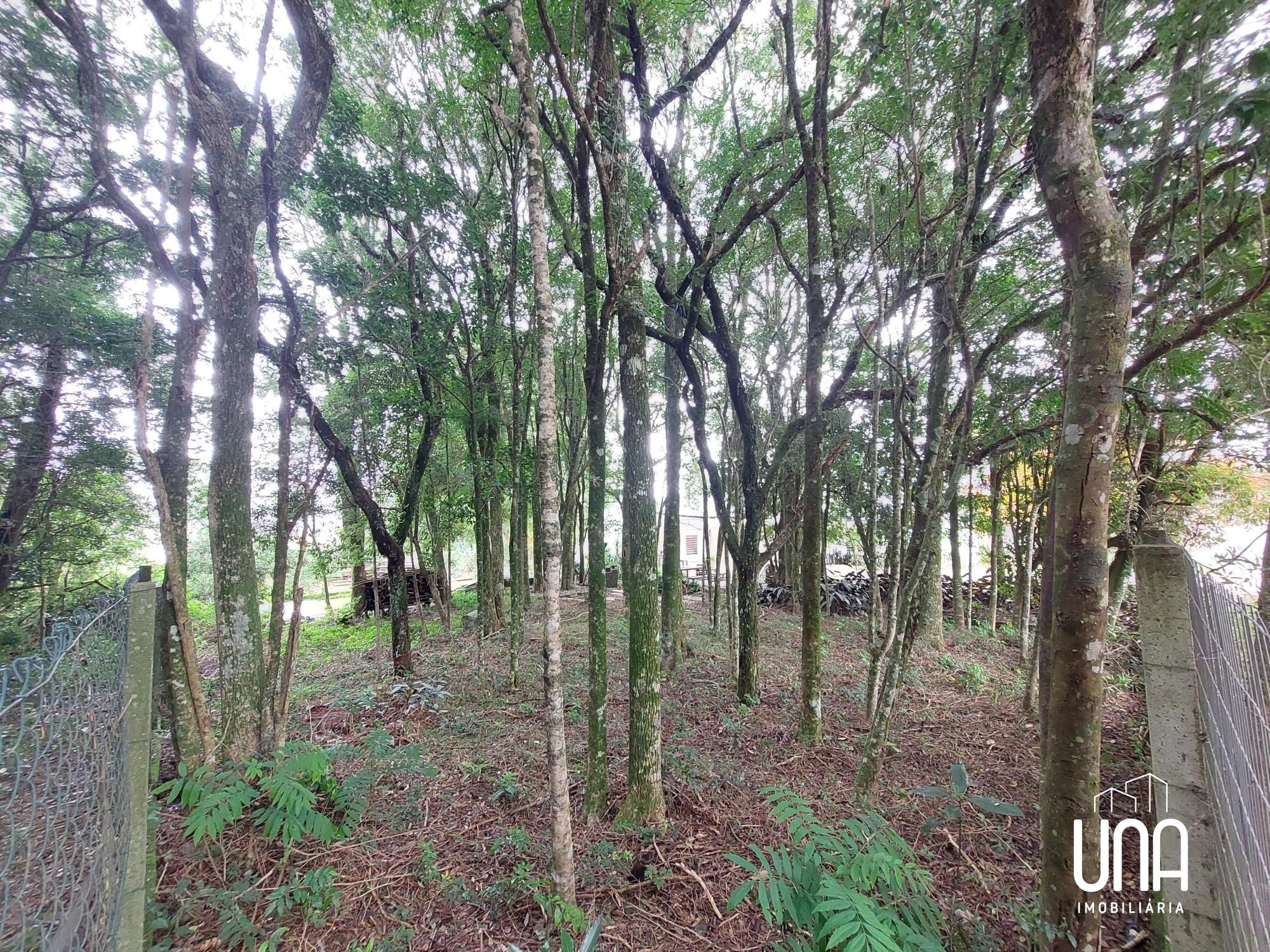 Terreno, 496 m² - Foto 4