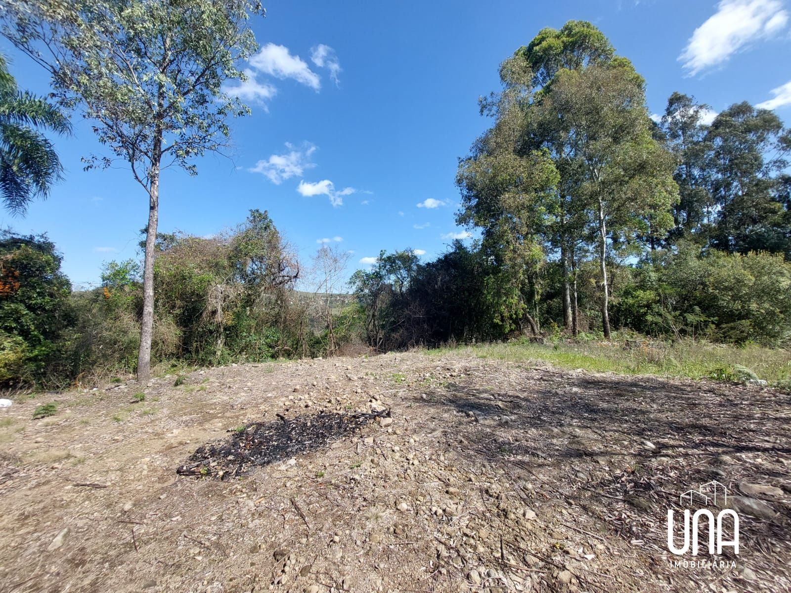 Terreno, 3000 m² - Foto 5
