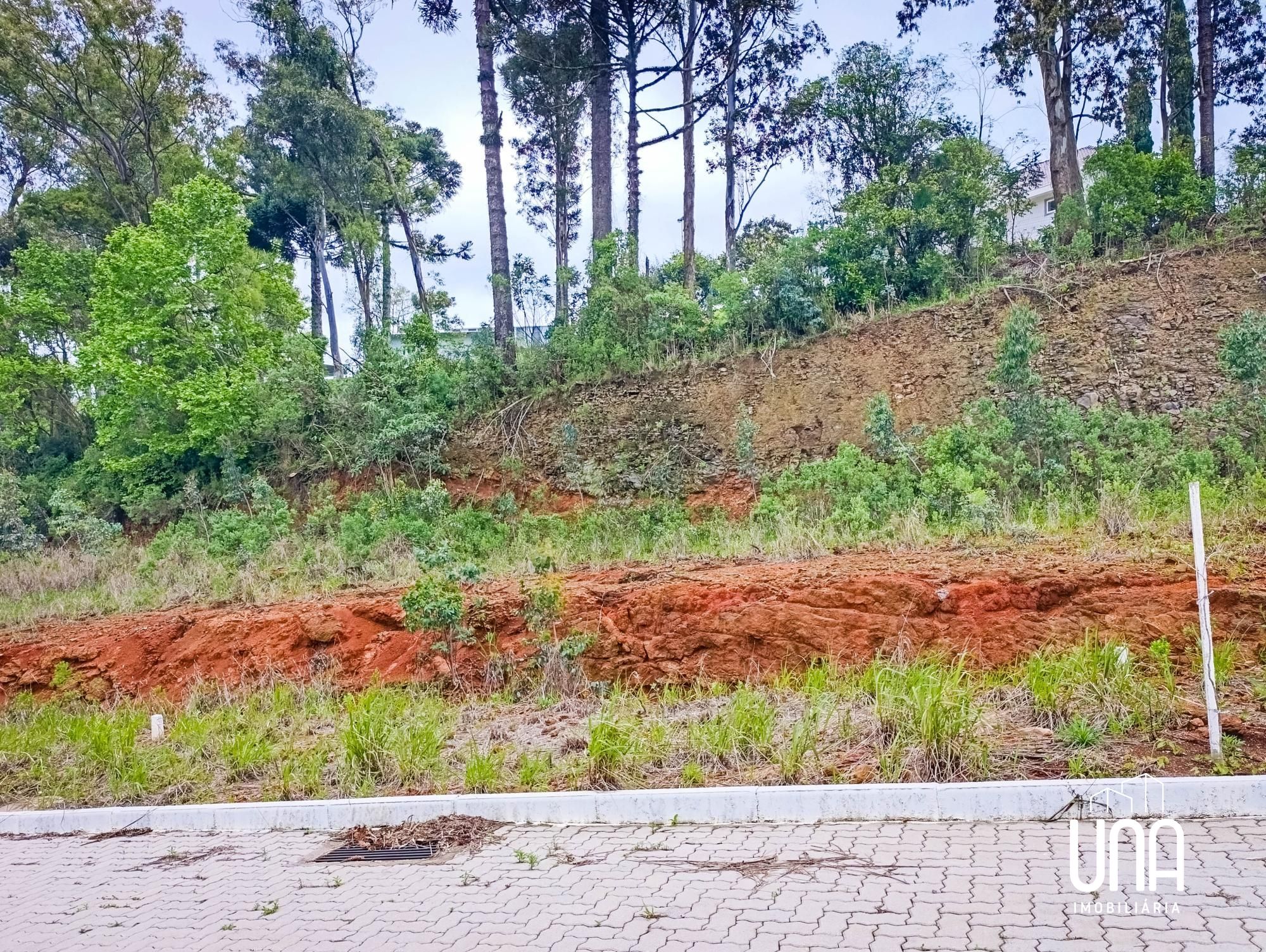 Terreno, 246 m² - Foto 4