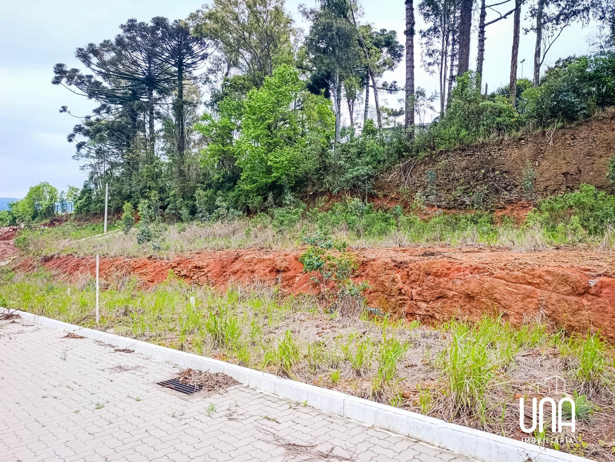 Terreno, 246 m² - Foto 1