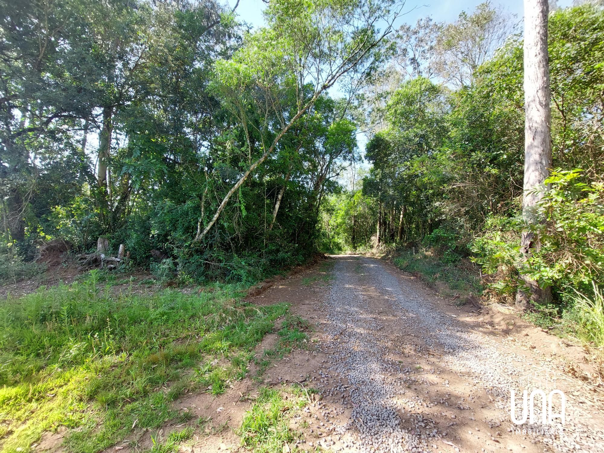 Chácara, 5 hectares - Foto 2