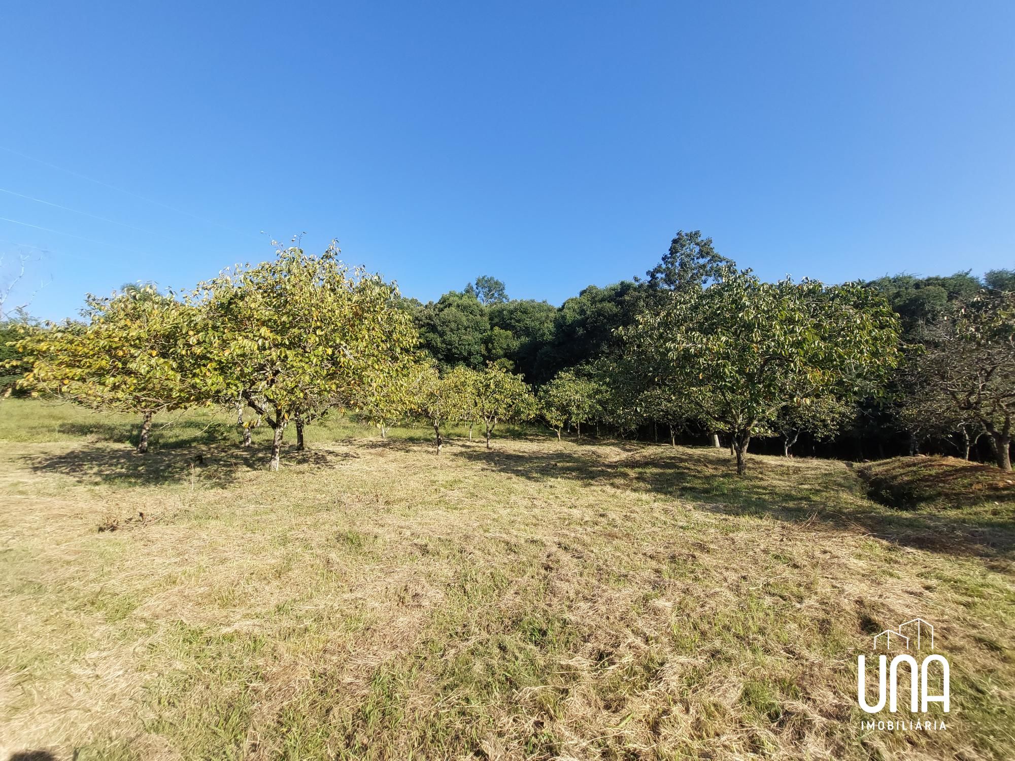 Chácara, 4 hectares - Foto 15