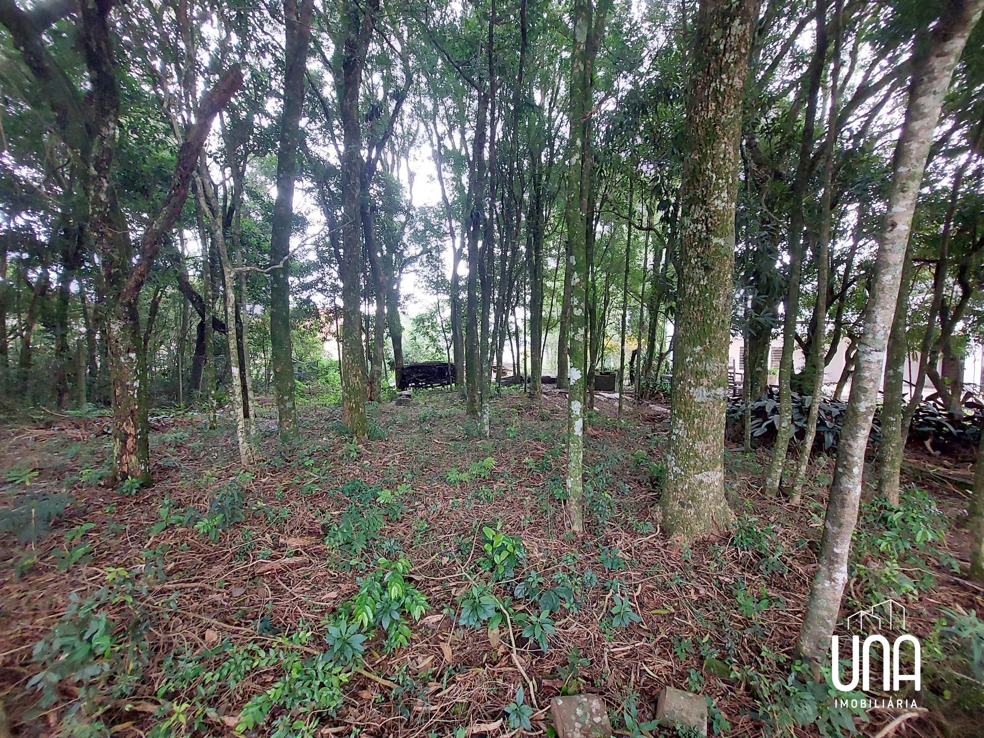 Terreno, 496 m² - Foto 5