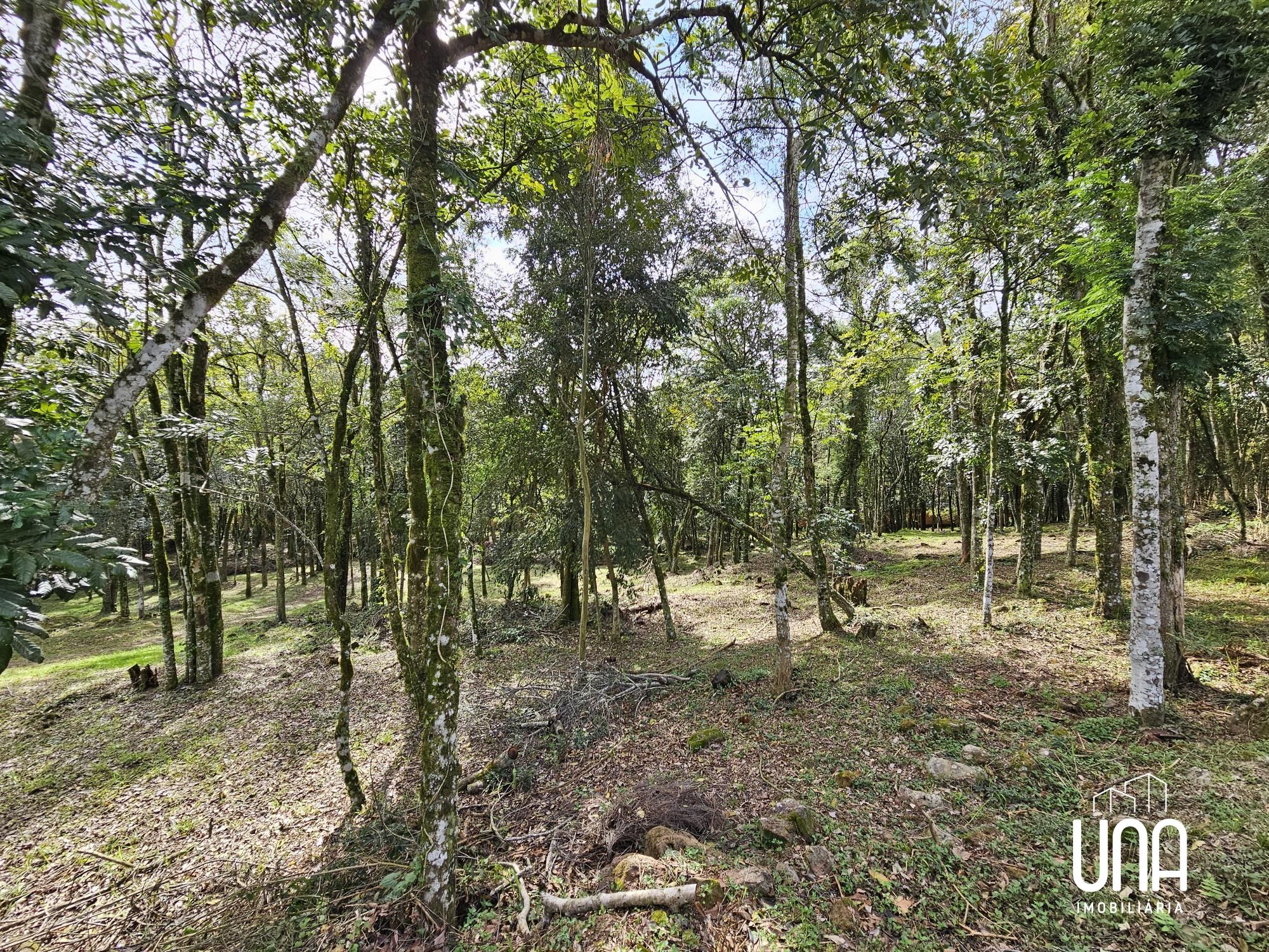 Terreno, 2283 m² - Foto 8