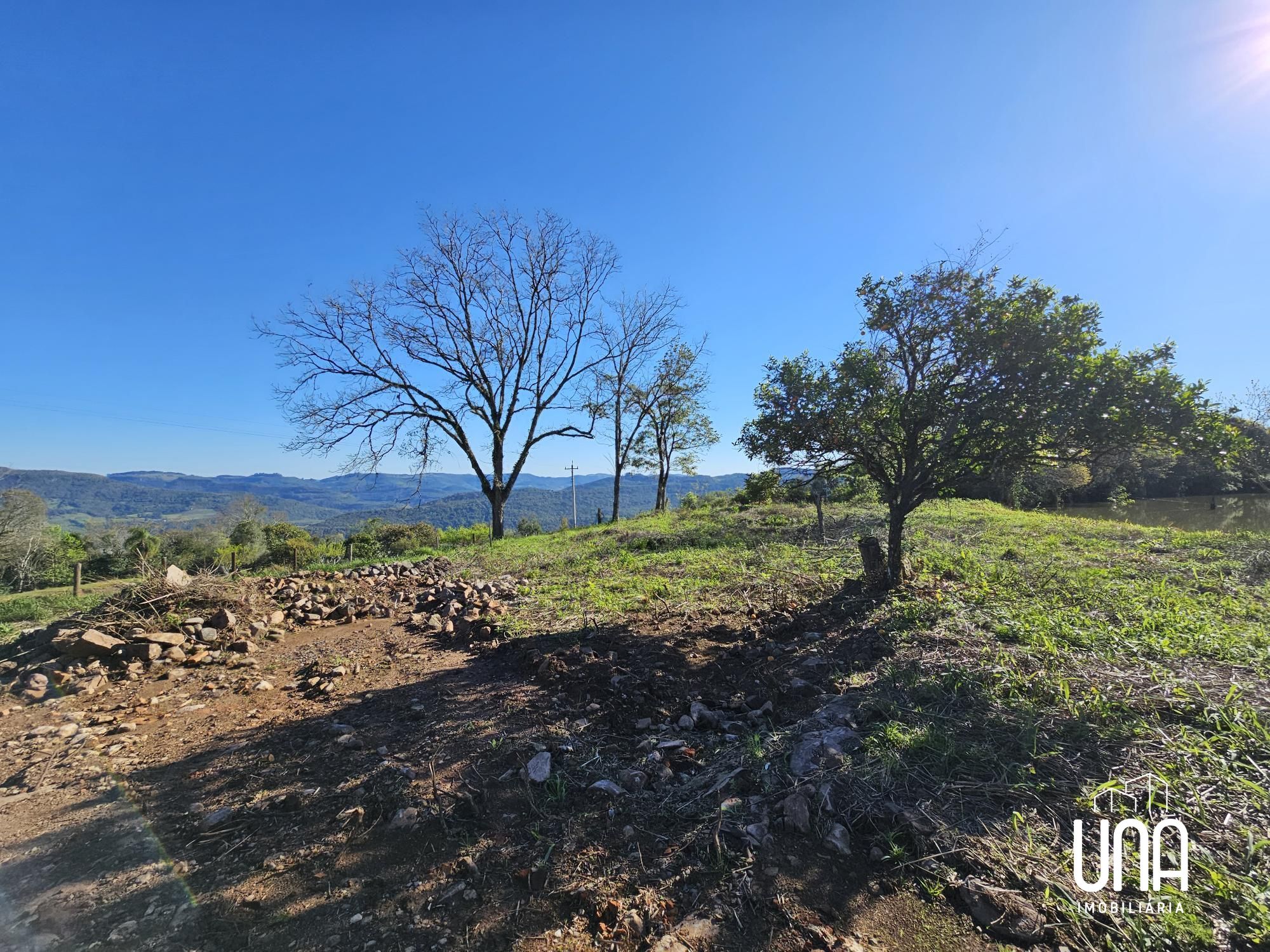 Sítio, 5 hectares - Foto 10