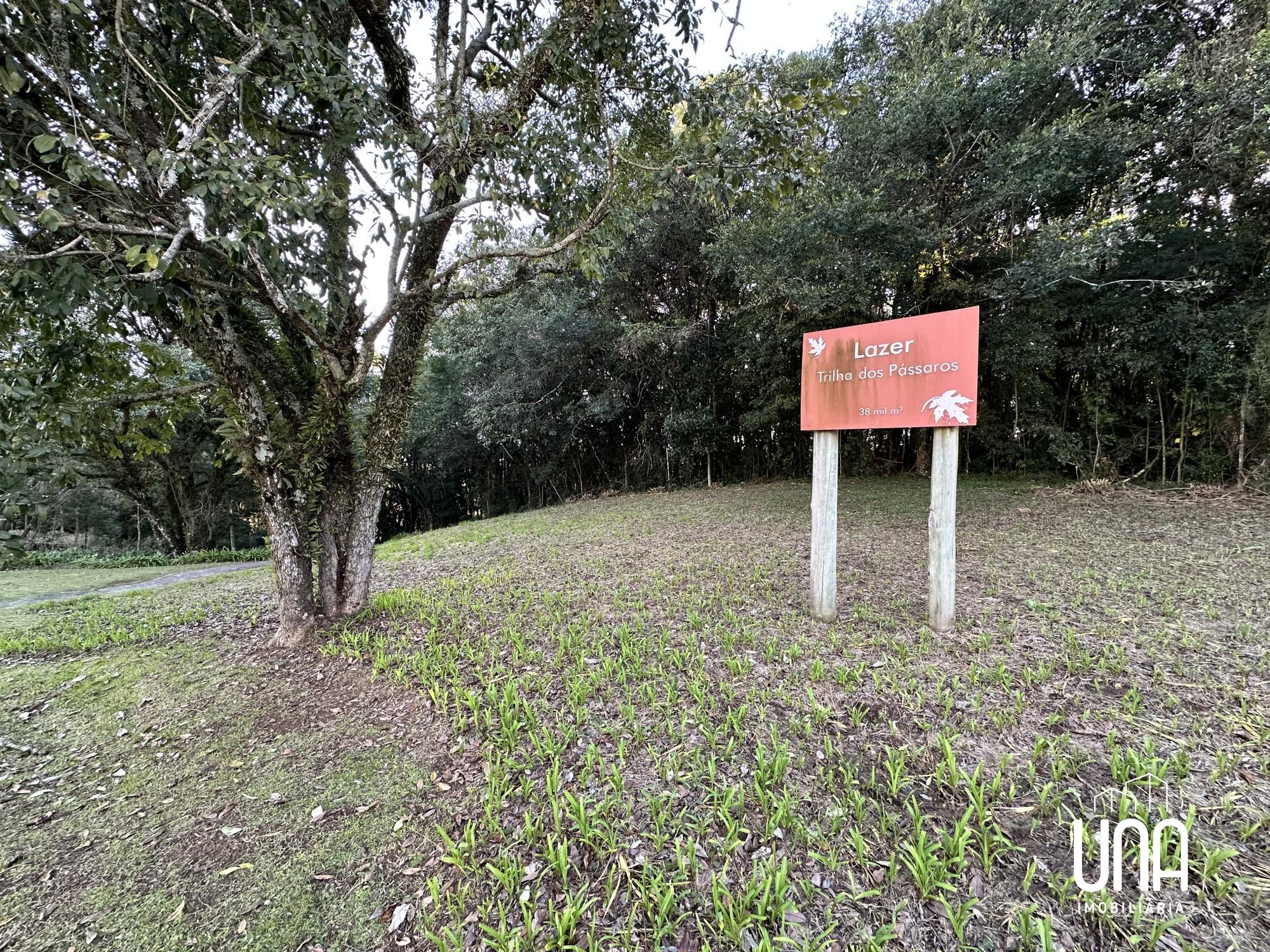 Terreno, 1376 m² - Foto 9