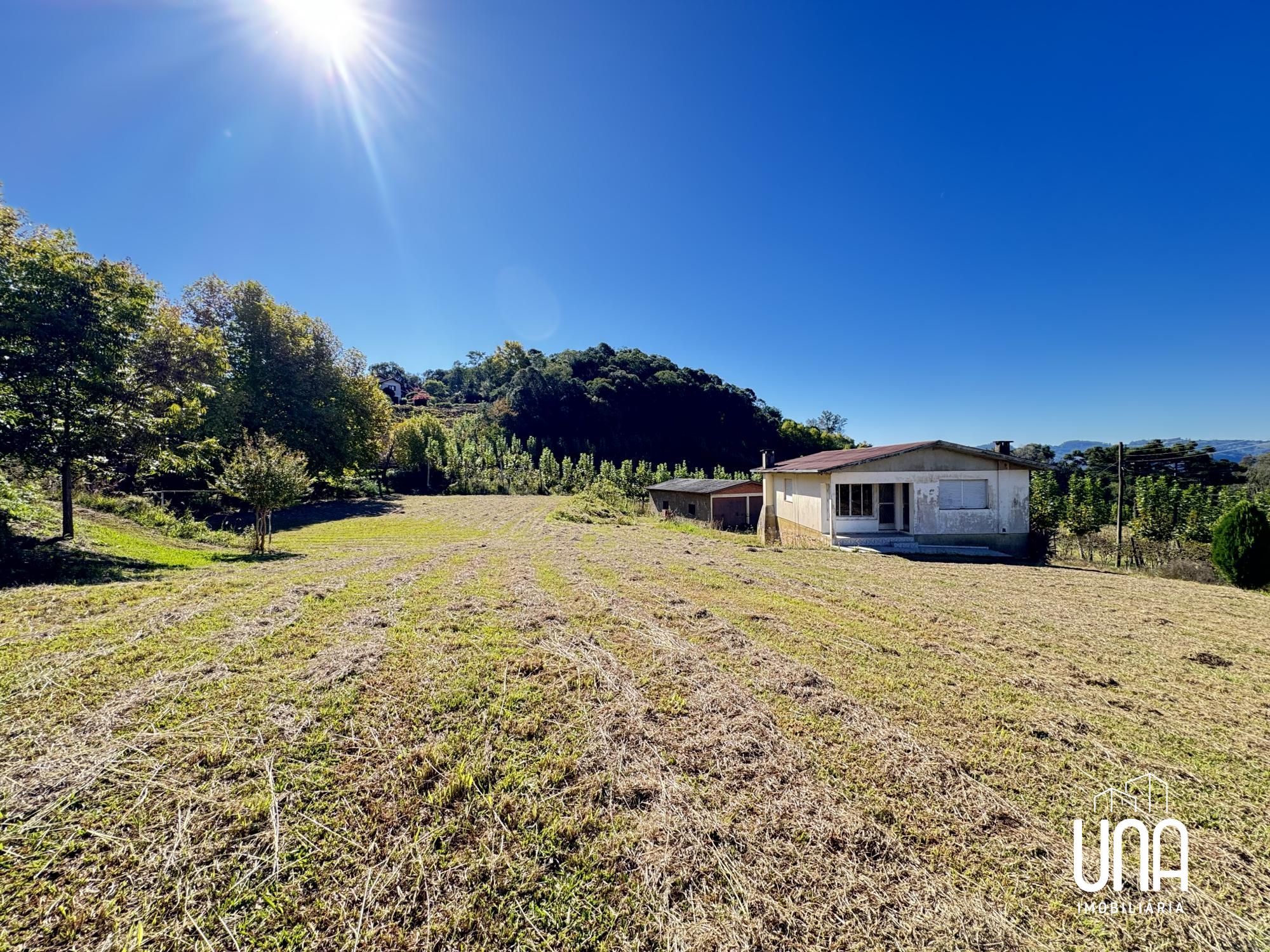 Chácara, 8 hectares - Foto 10