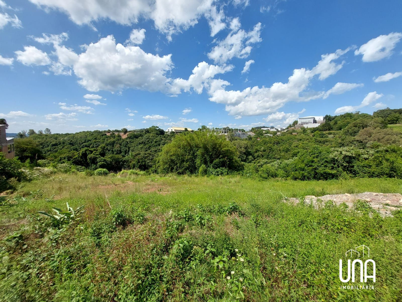Terreno, 8206 m² - Foto 3