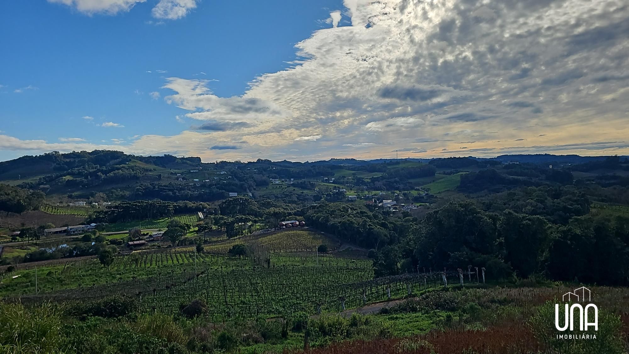 Terreno, 10000 m² - Foto 4