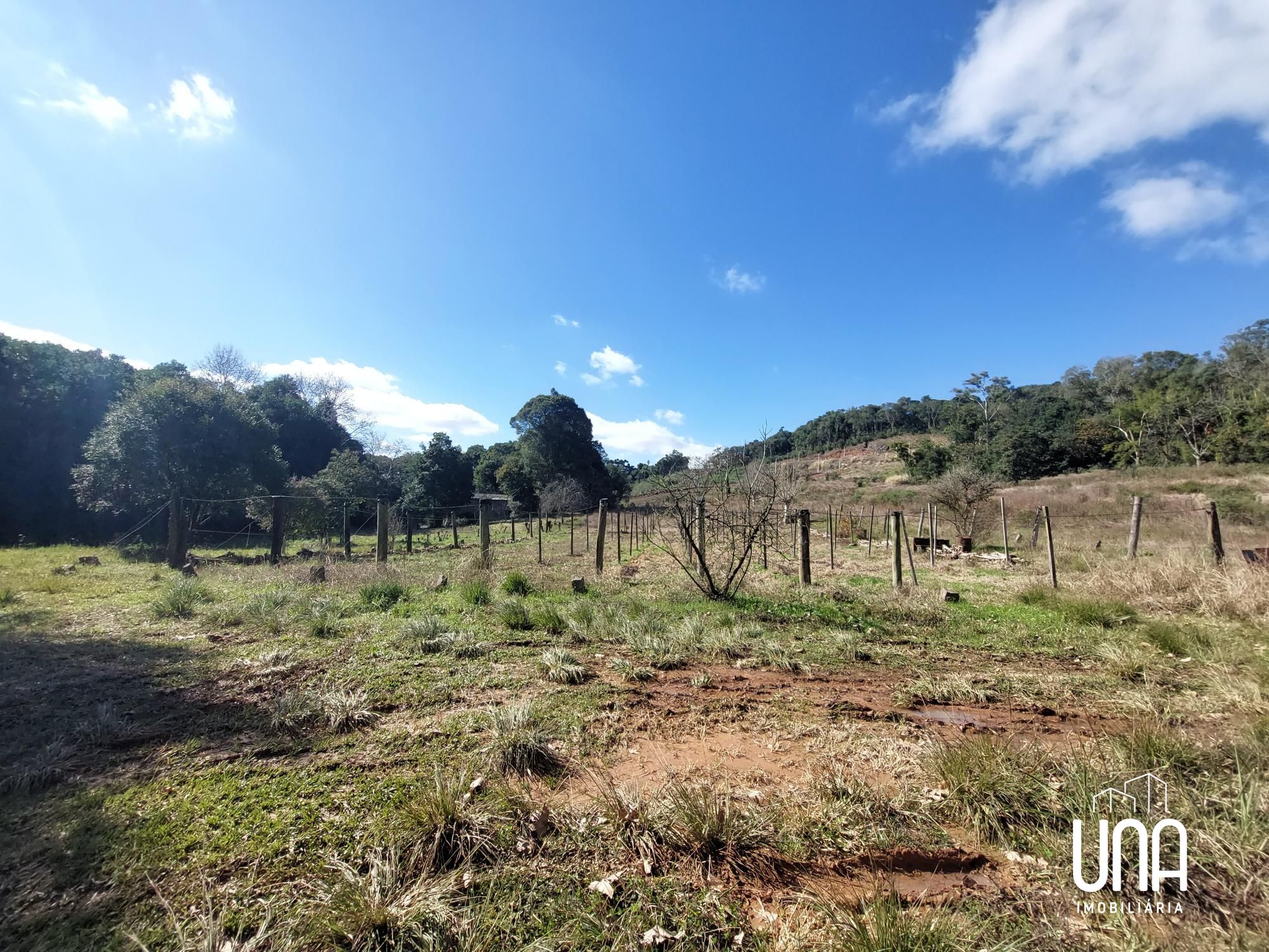 Terreno, 2 hectares - Foto 4