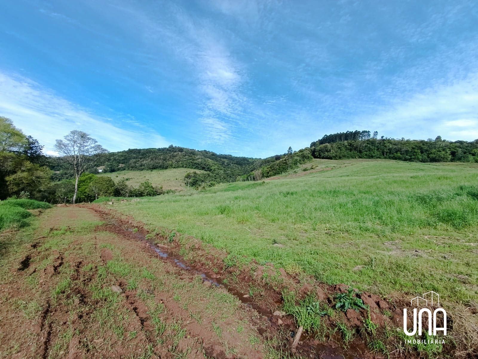 Sítio, 2 hectares - Foto 6