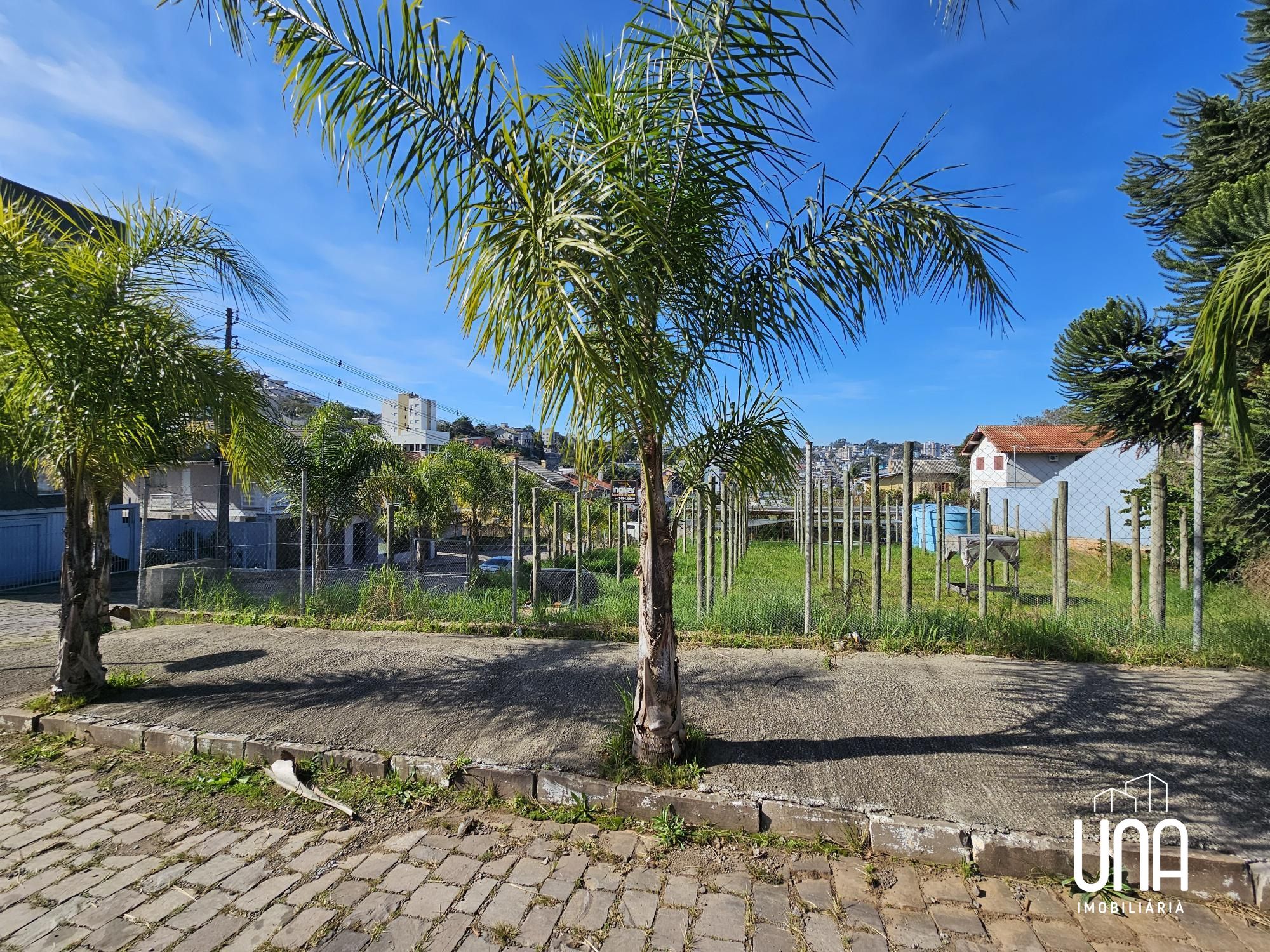 Terreno, 556 m² - Foto 4