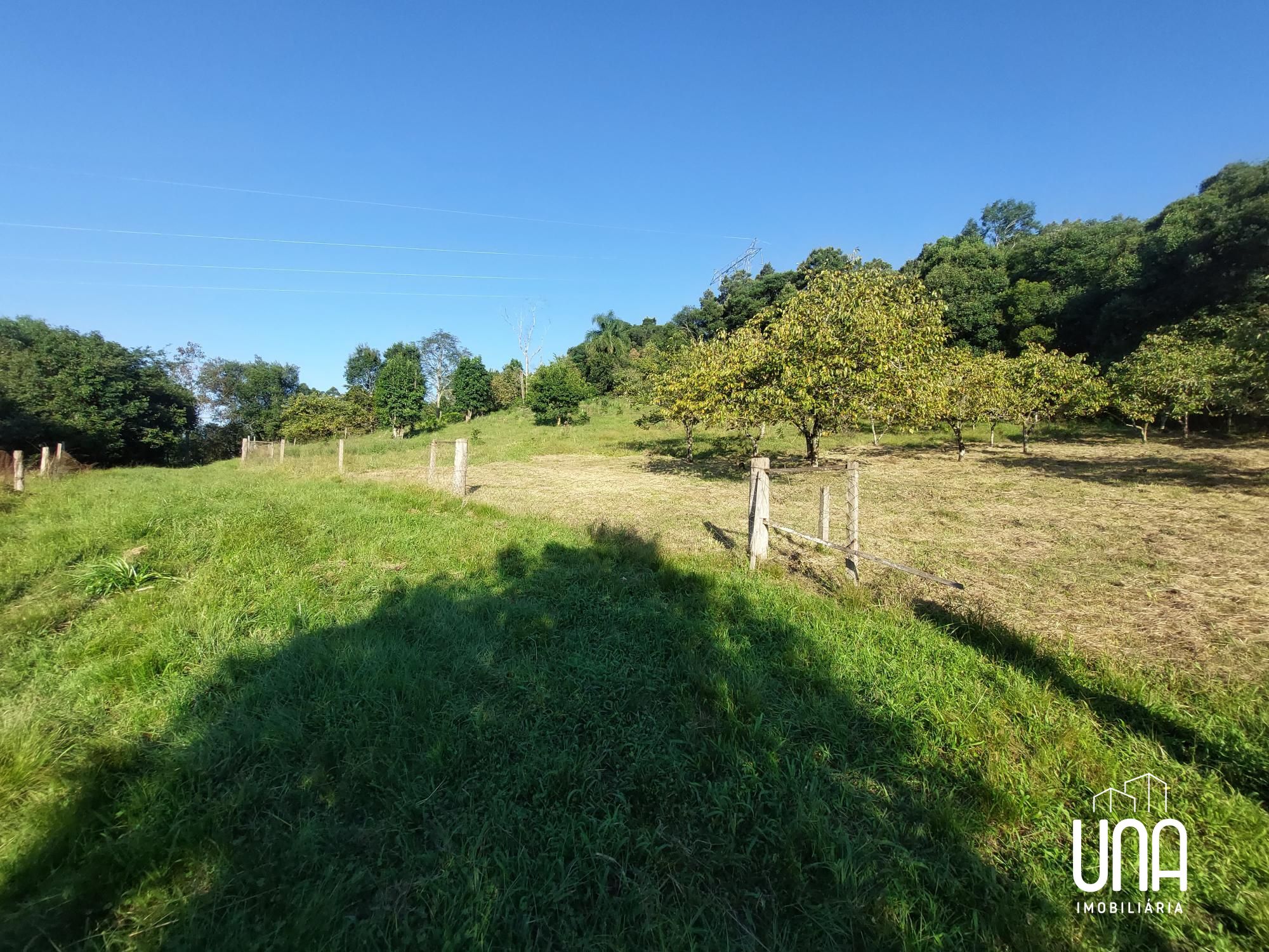 Chácara, 4 hectares - Foto 14