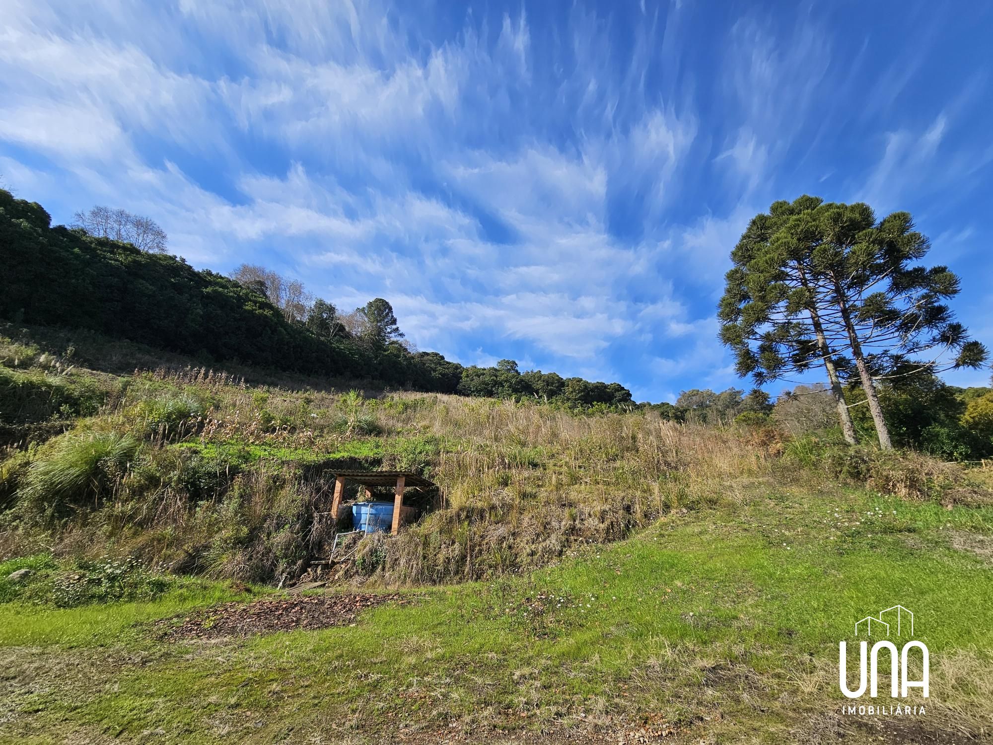 Terreno, 2 hectares - Foto 1