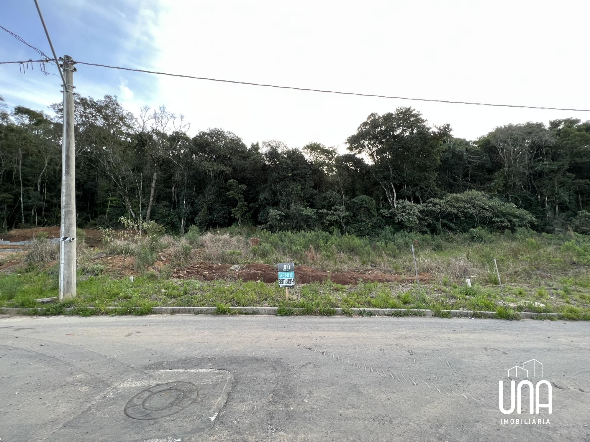 Terreno - Foto 5