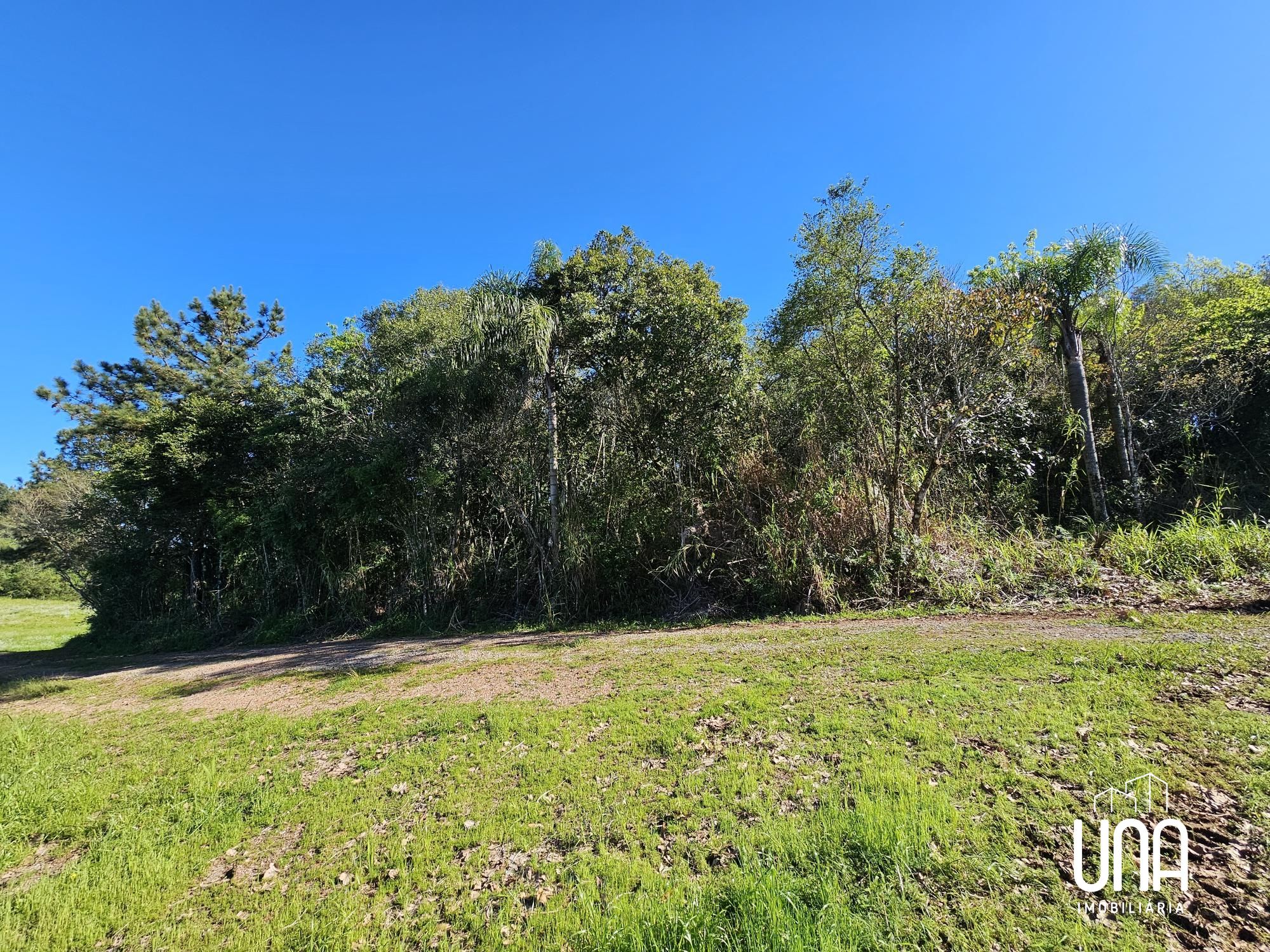 Sítio, 5 hectares - Foto 11