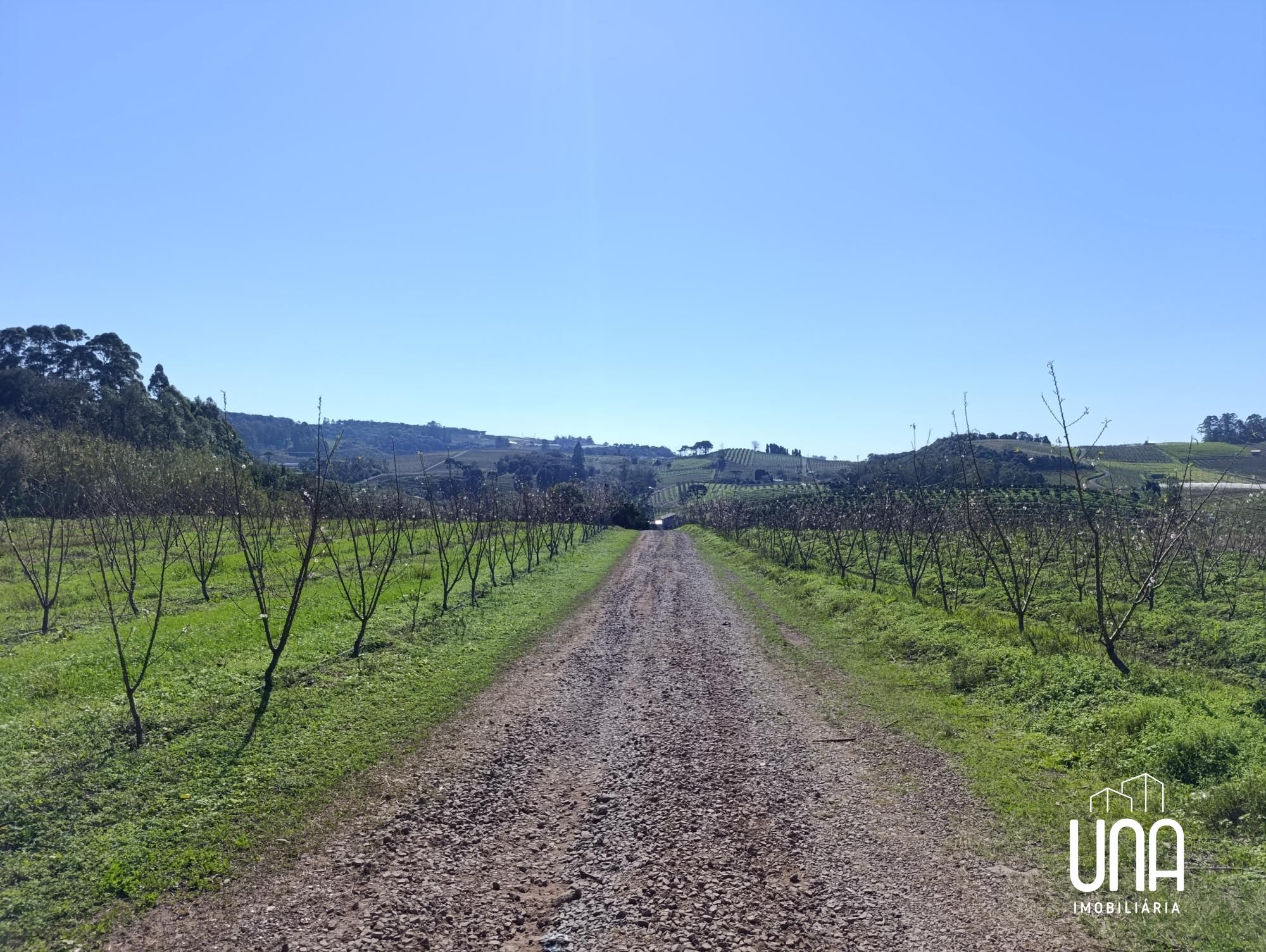 Chácara, 2 hectares - Foto 3