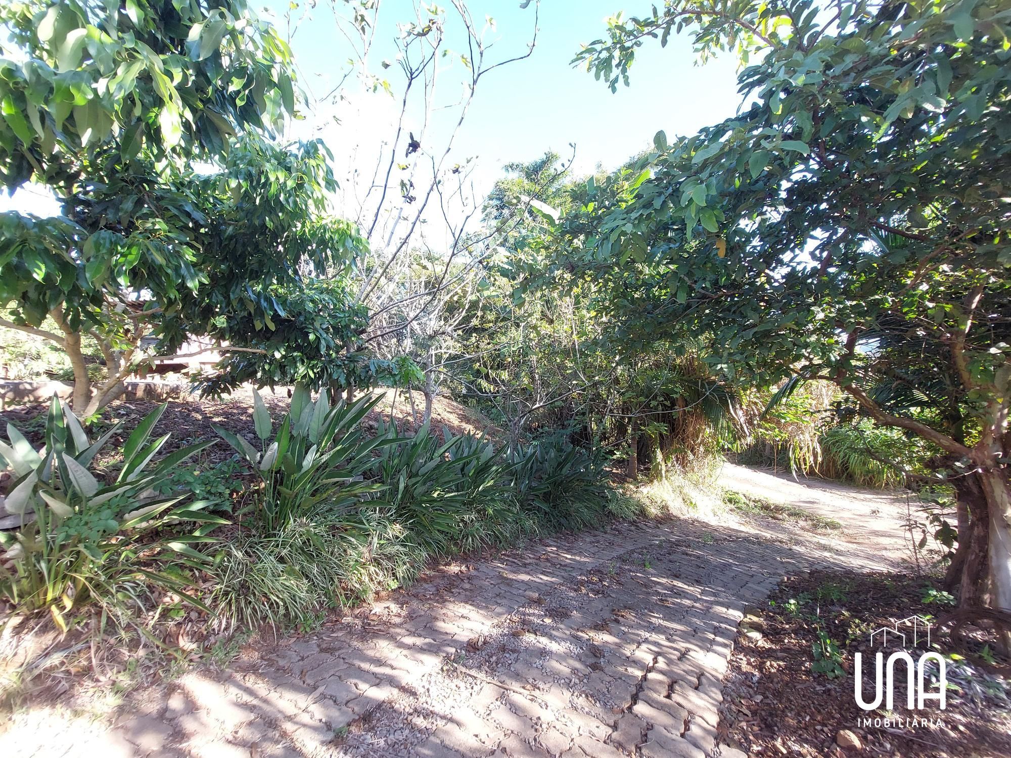Chácara, 2 quartos, 4 hectares - Foto 8