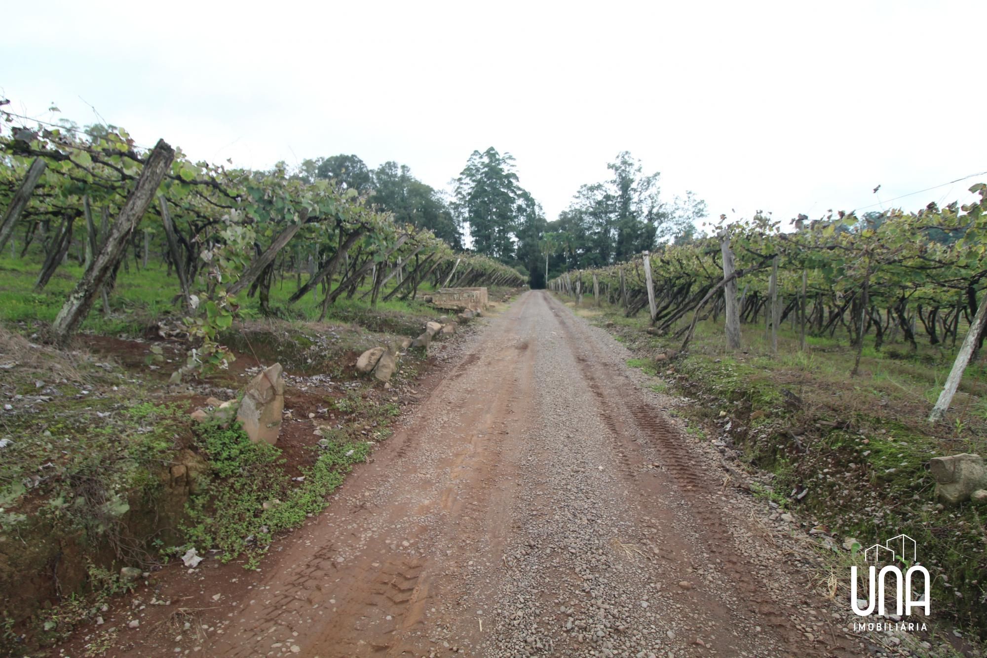 Chácara, 5 hectares - Foto 9