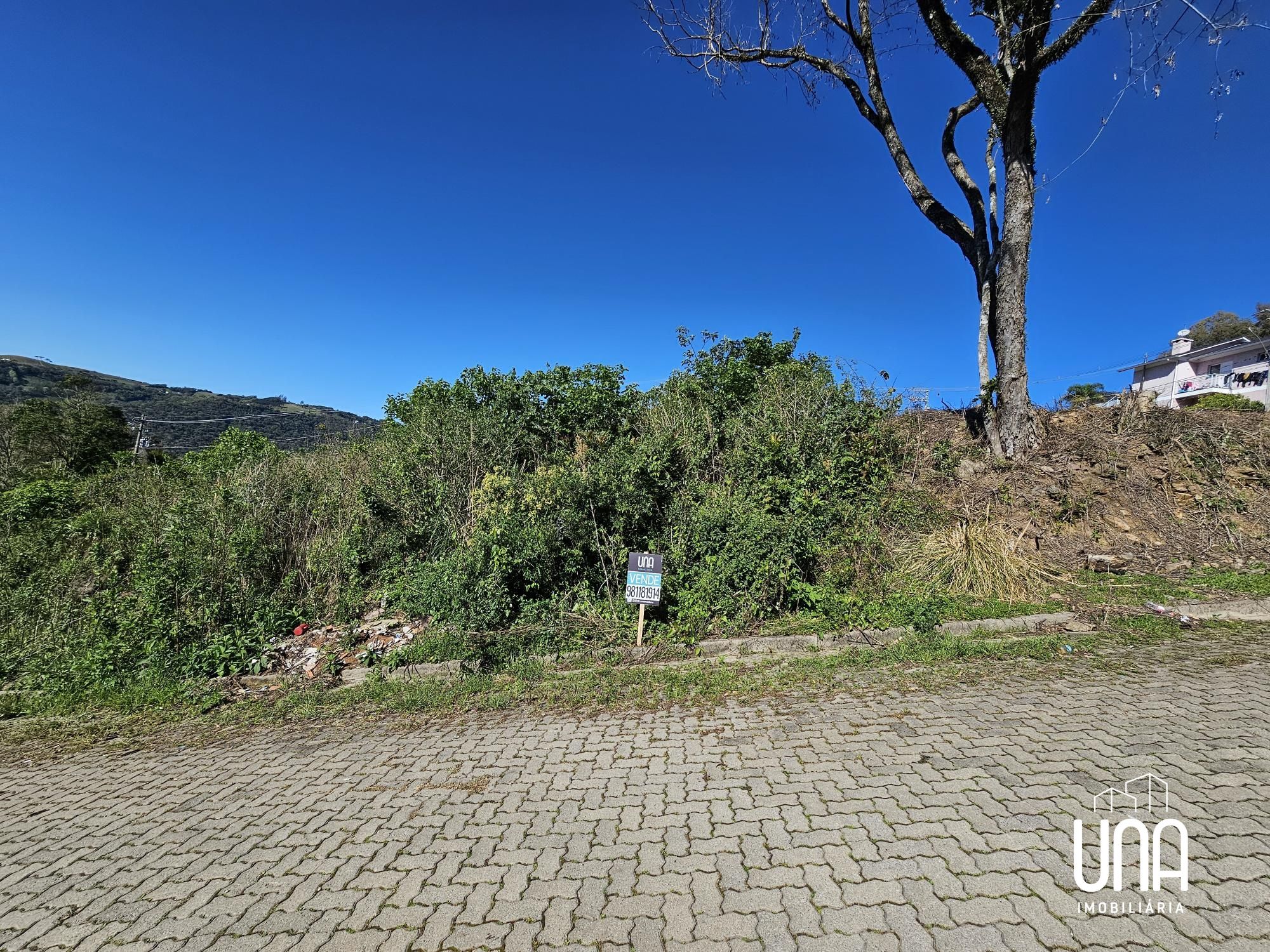 Terreno, 209 m² - Foto 2