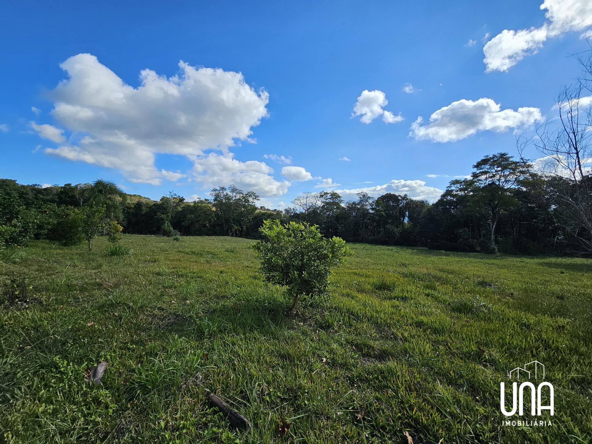 Chácara, 10000 m² - Foto 3