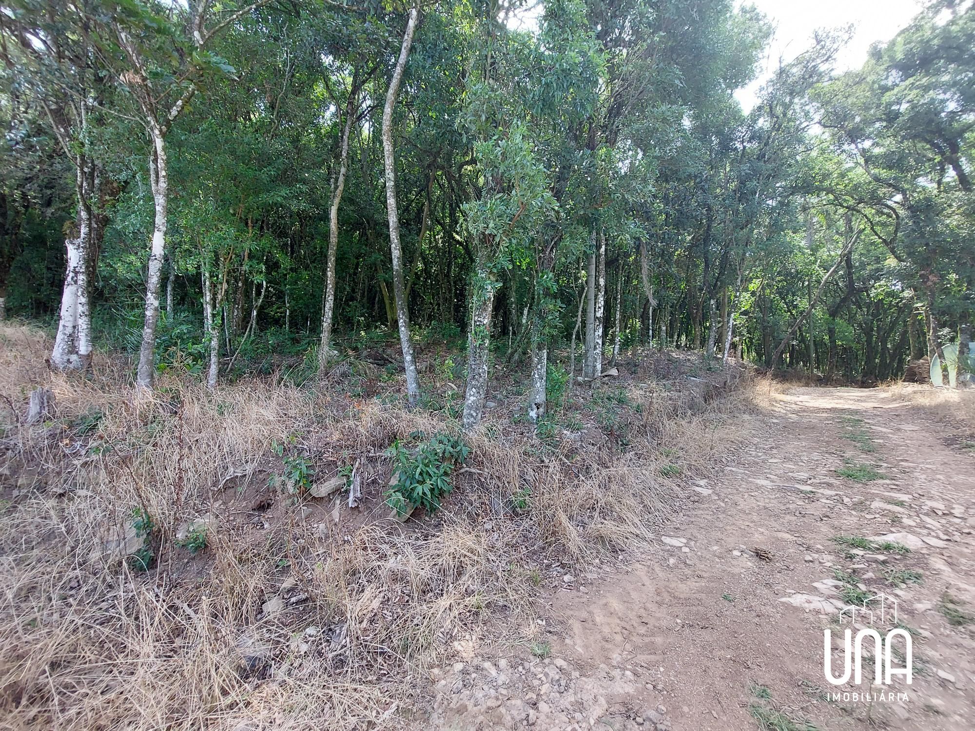 Chácara, 2 hectares - Foto 10