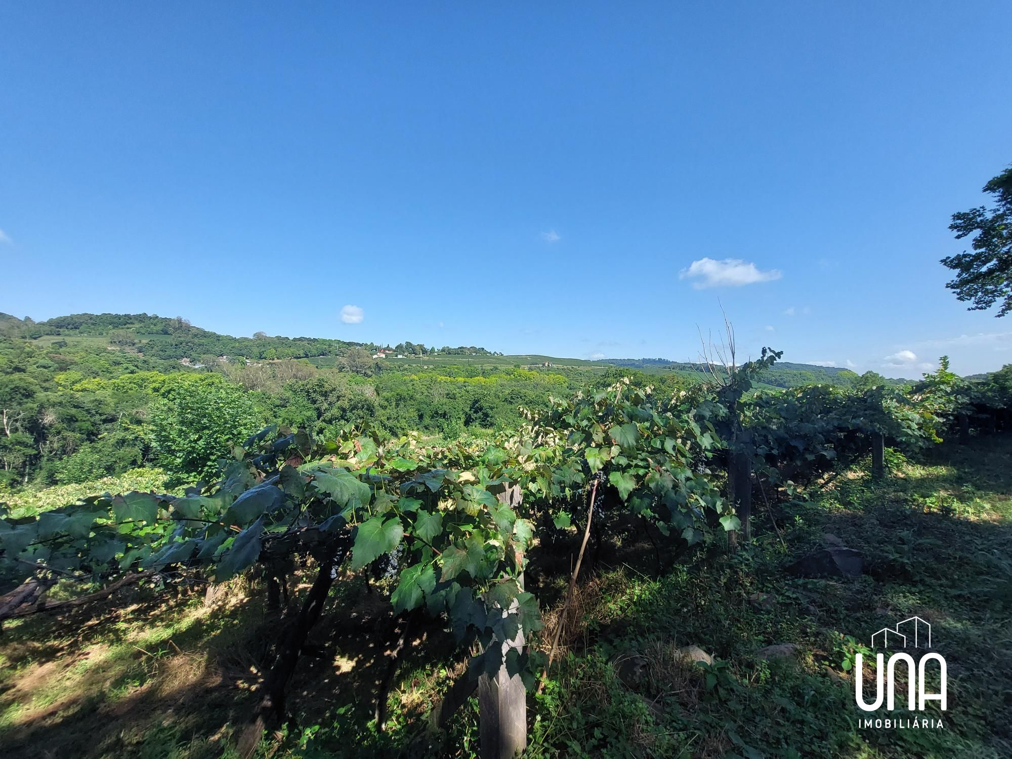 Chácara, 2 hectares - Foto 4