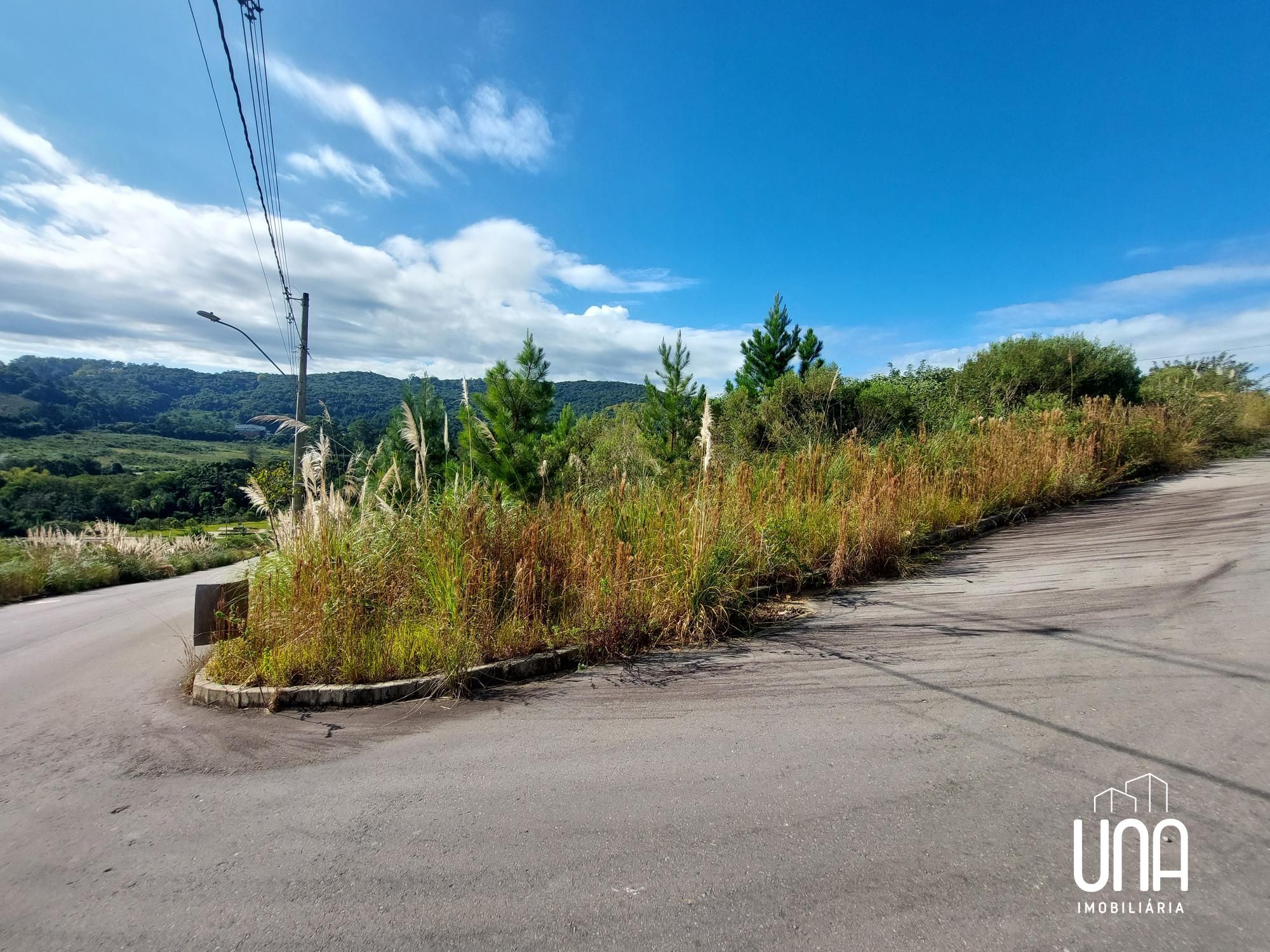 Terreno, 299 m² - Foto 3
