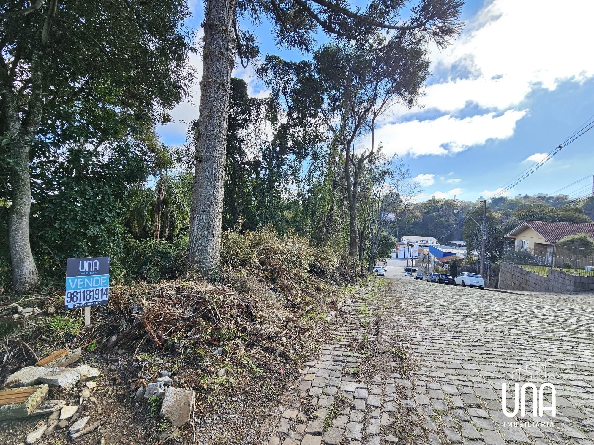 Terreno, 494 m² - Foto 4