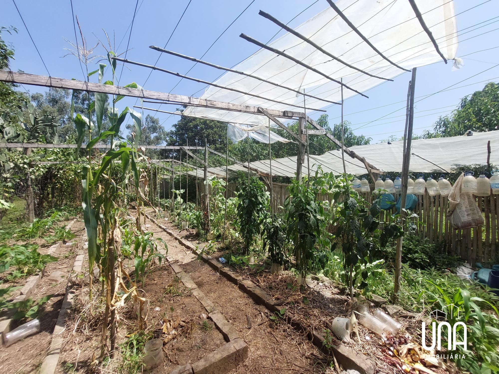 Chácara, 2 quartos, 2 hectares - Foto 14