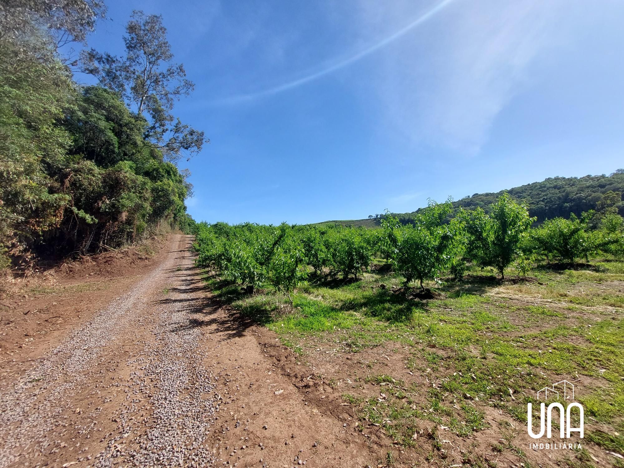 Chácara, 5 hectares - Foto 1