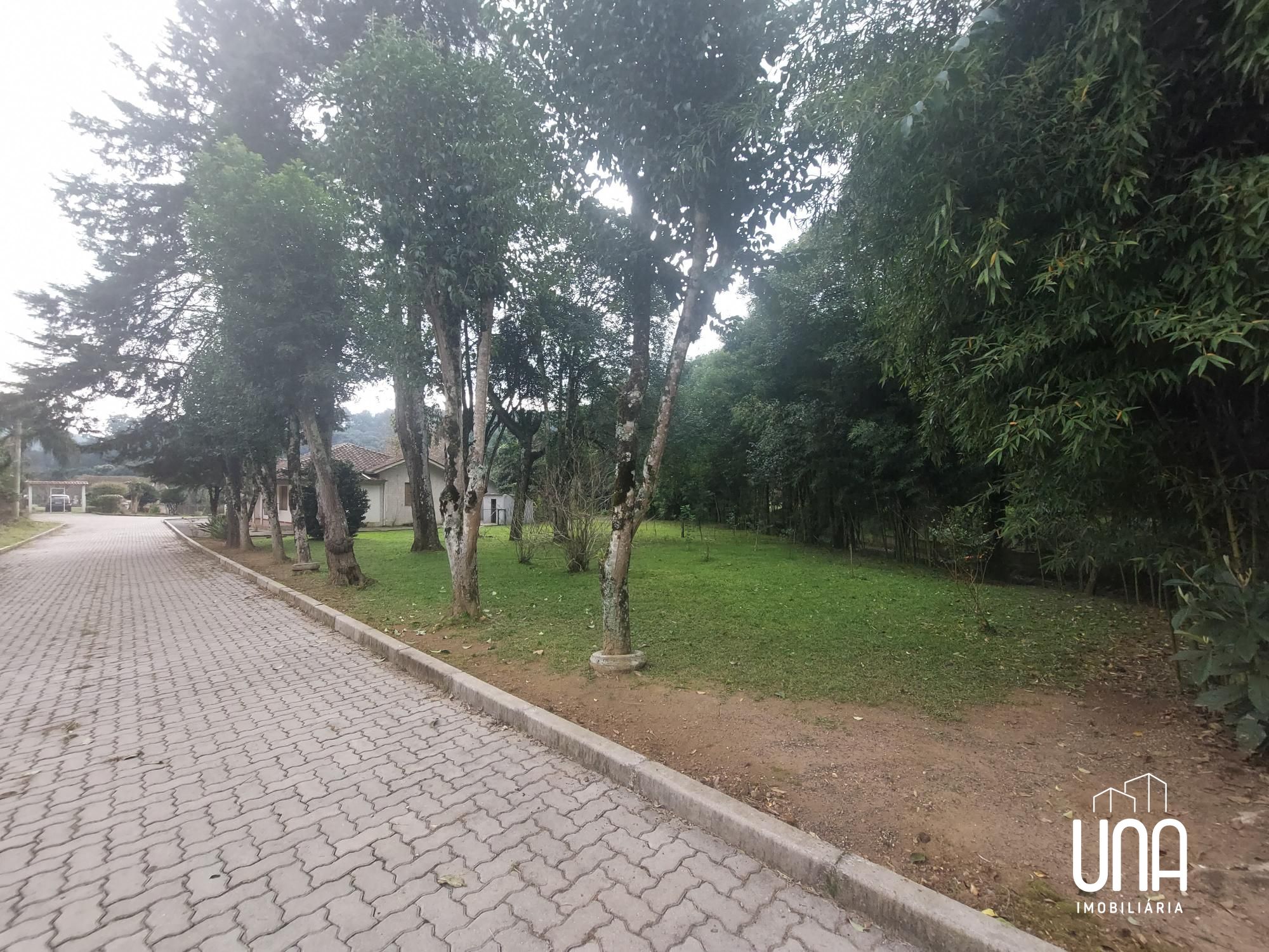 Chácara, 4 quartos, 2365 m² - Foto 4