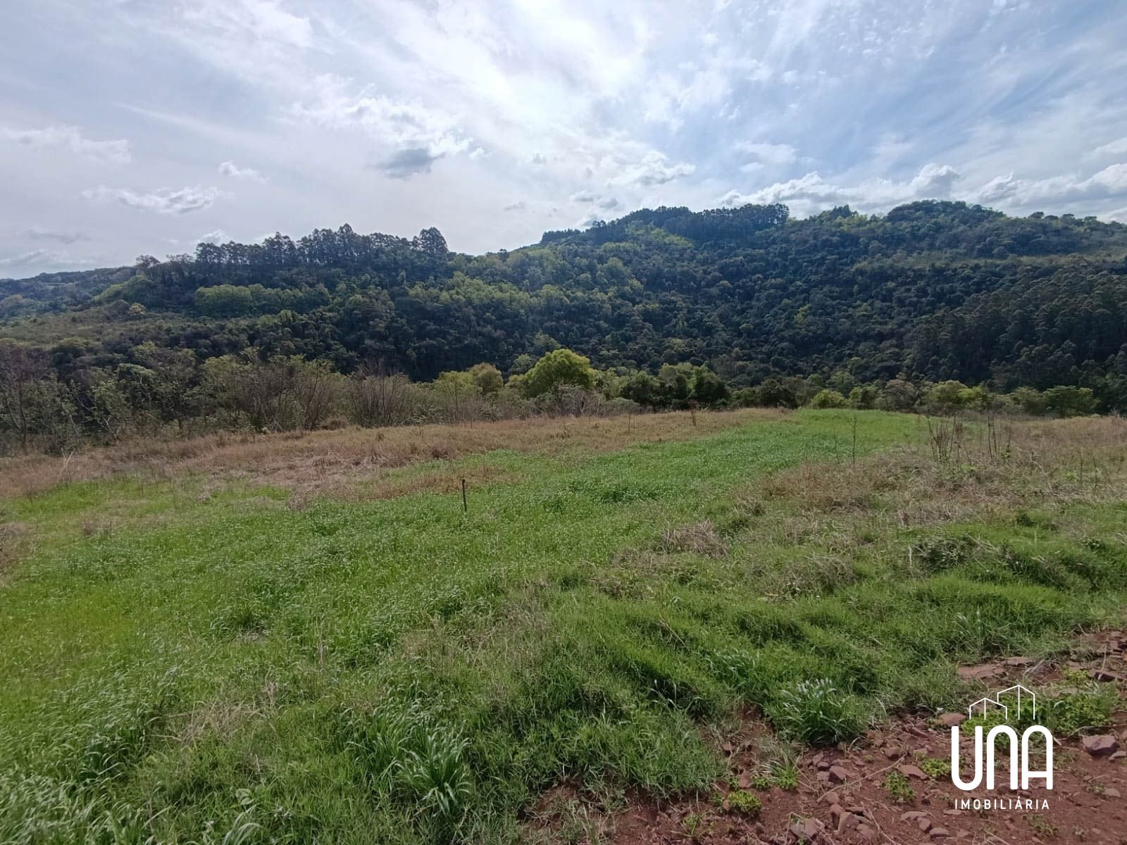Sítio, 2 hectares - Foto 1