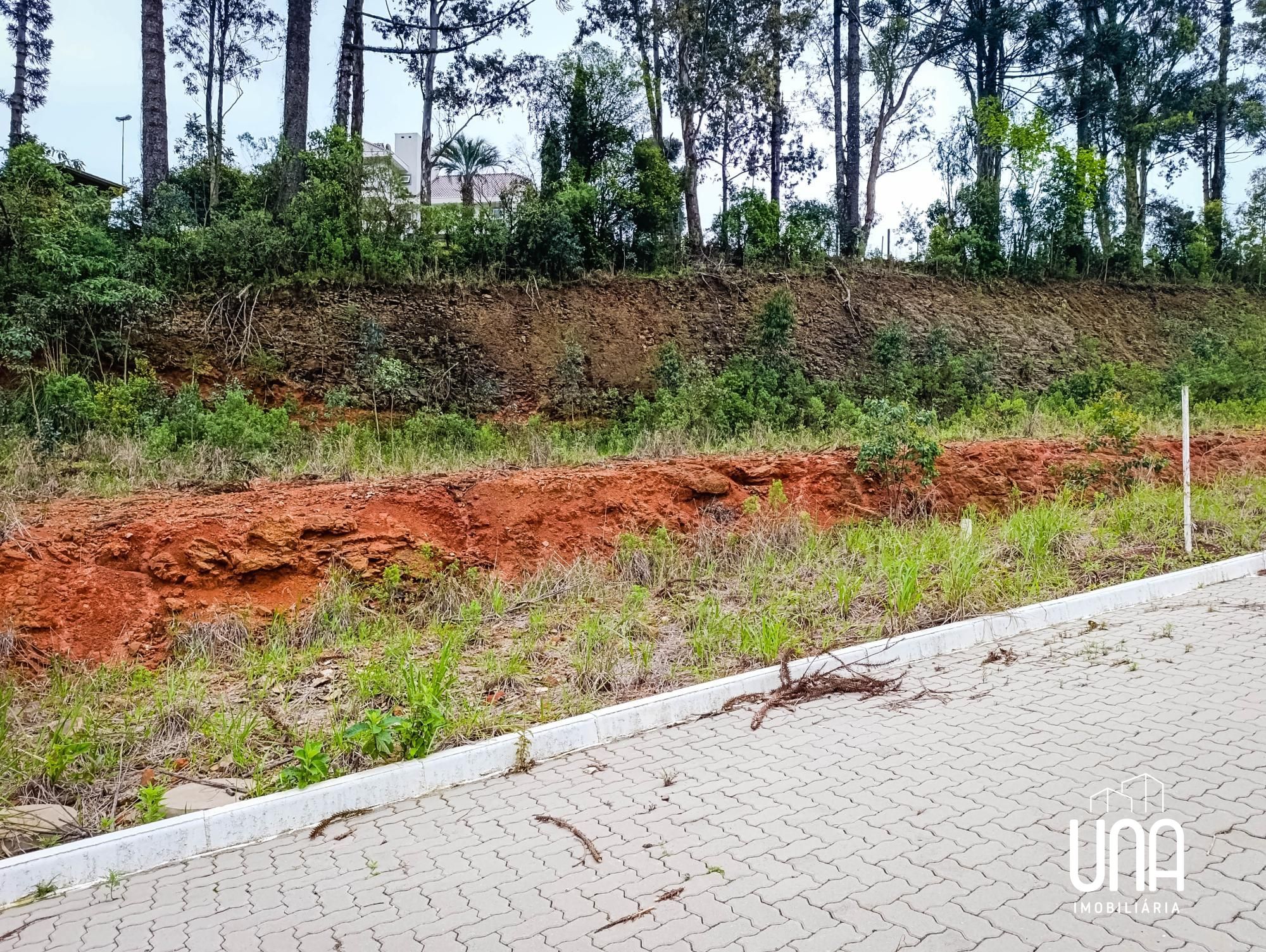 Terreno, 245 m² - Foto 1