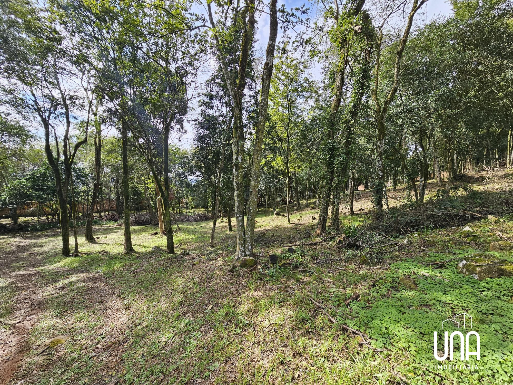 Terreno, 2283 m² - Foto 9