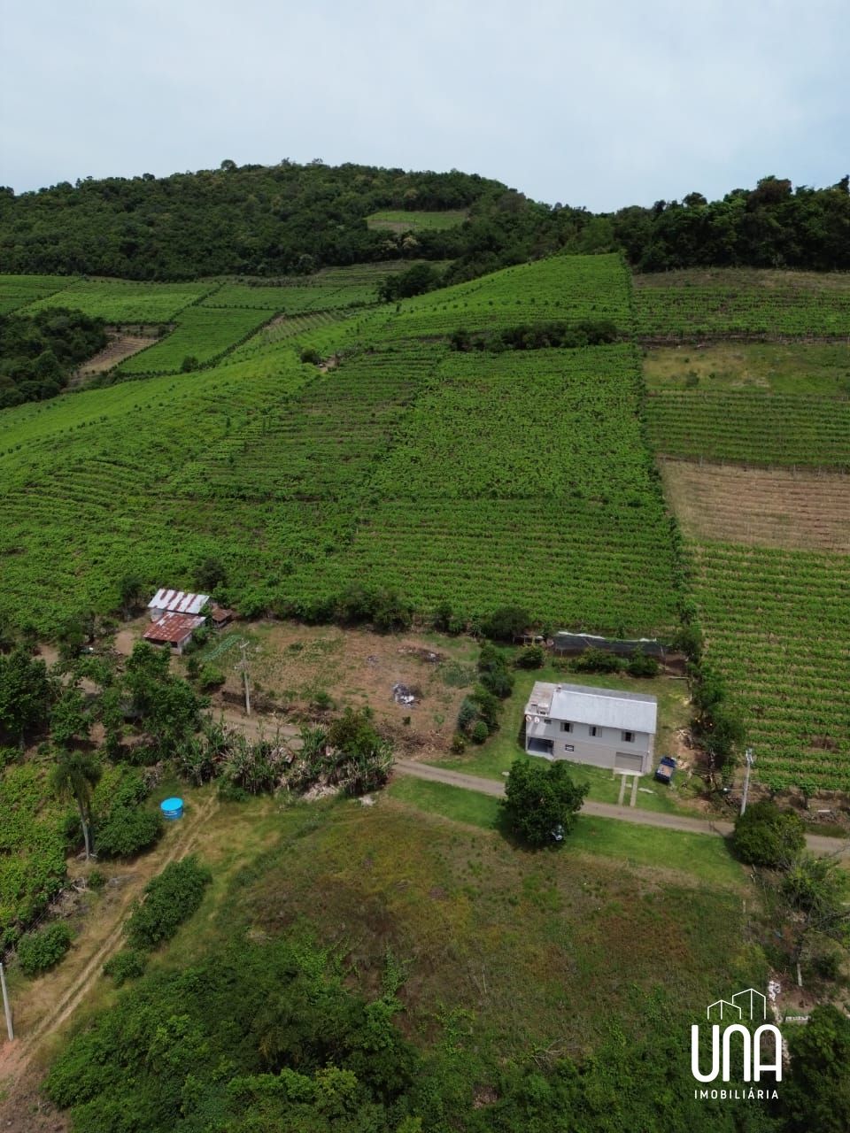 Sítio, 9 hectares - Foto 2