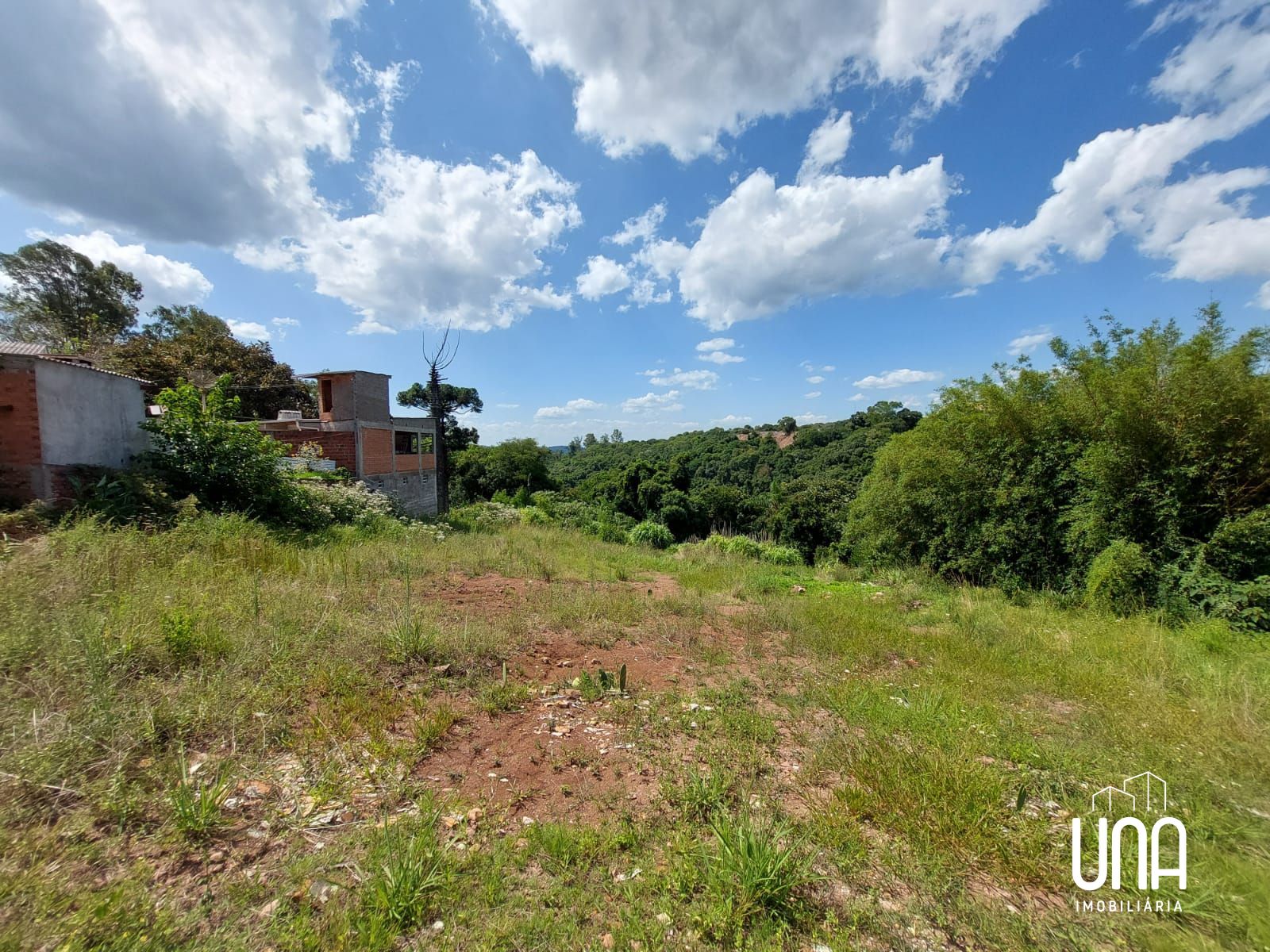 Terreno, 8206 m² - Foto 6