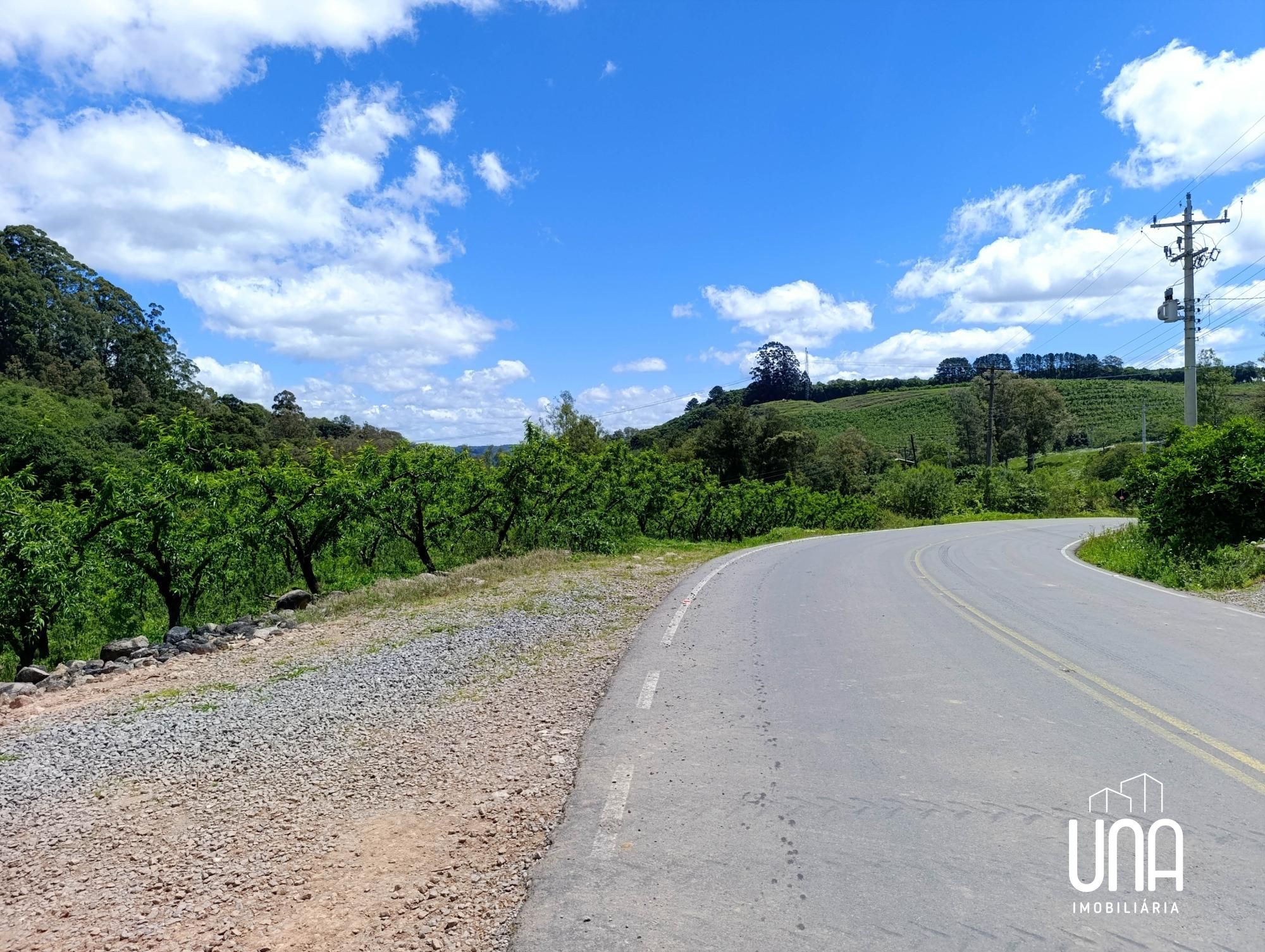 Chácara, 2 hectares - Foto 4
