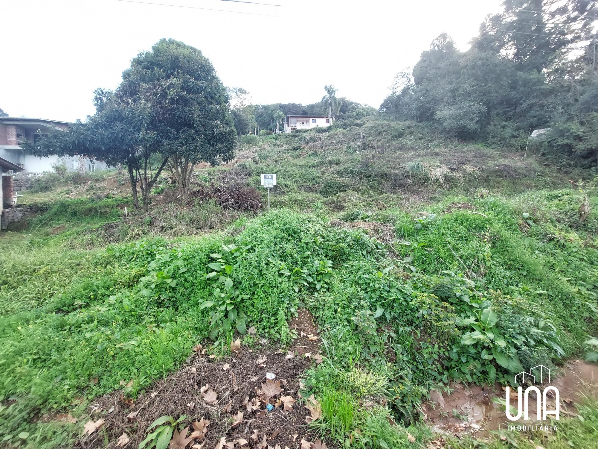 Terreno, 509 m² - Foto 5