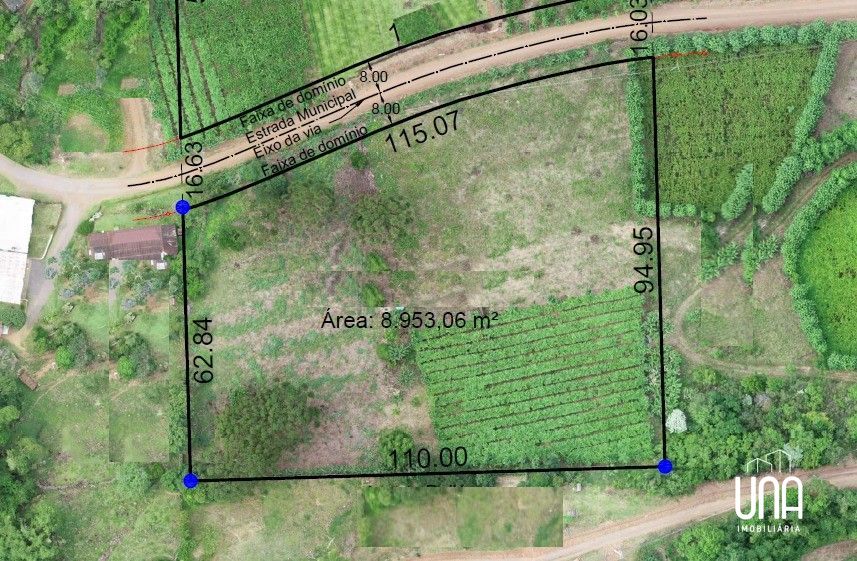 Sítio, 8900 m² - Foto 7