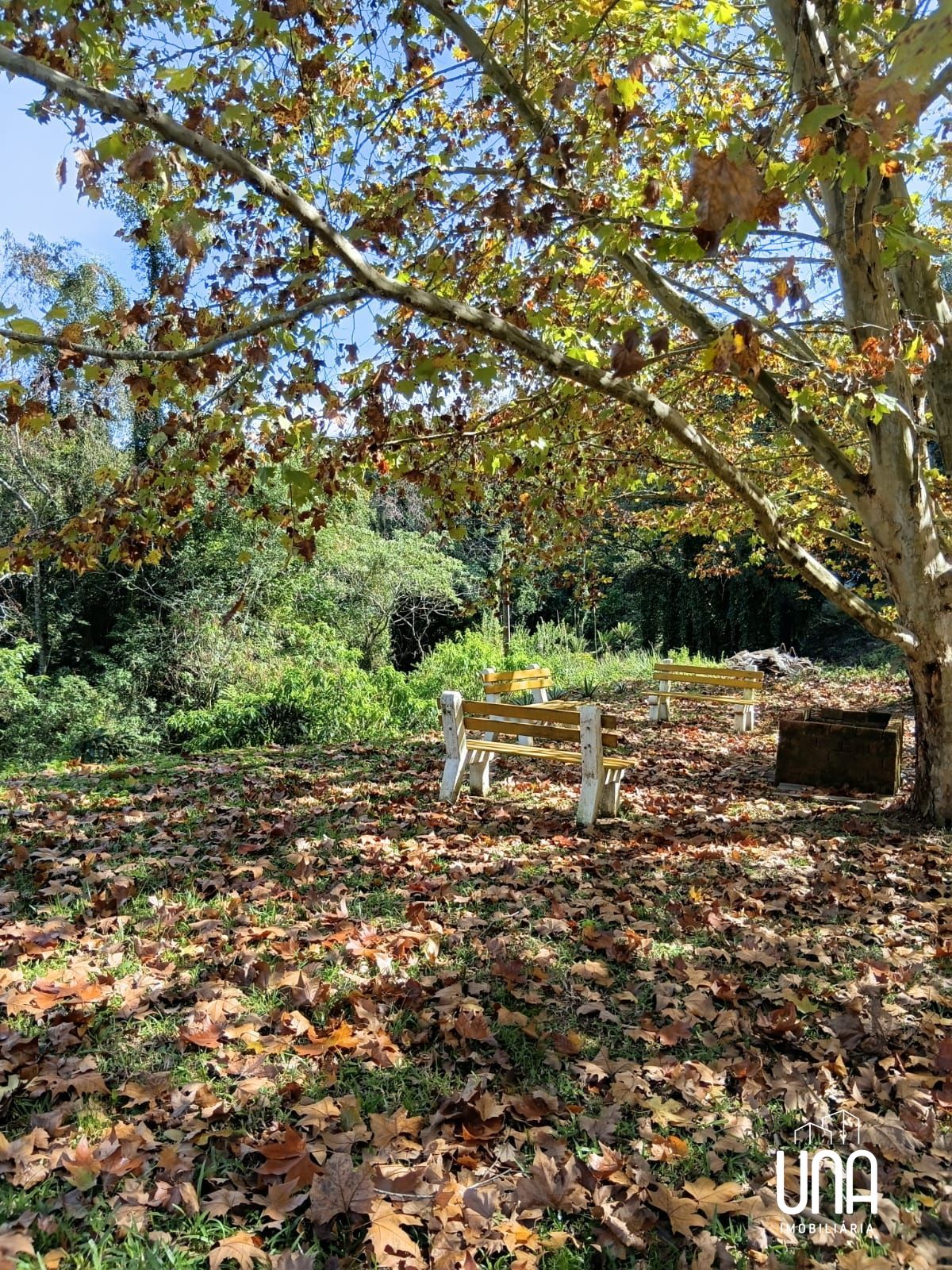 Sítio, 2 quartos, 6 hectares - Foto 8