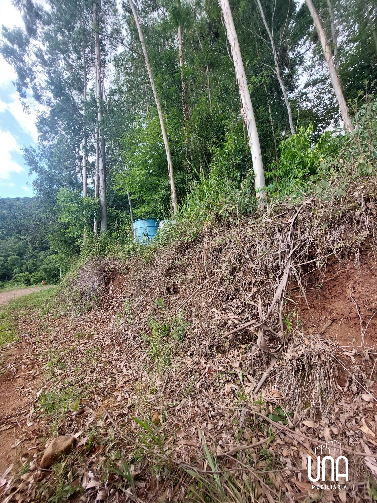Chácara, 4 hectares - Foto 4