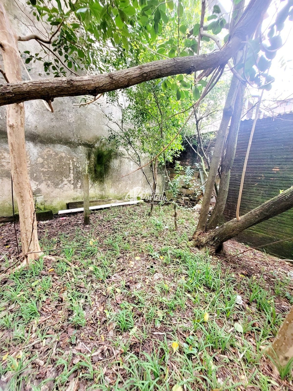 Casa, 4 quartos, 225 m² - Foto 24
