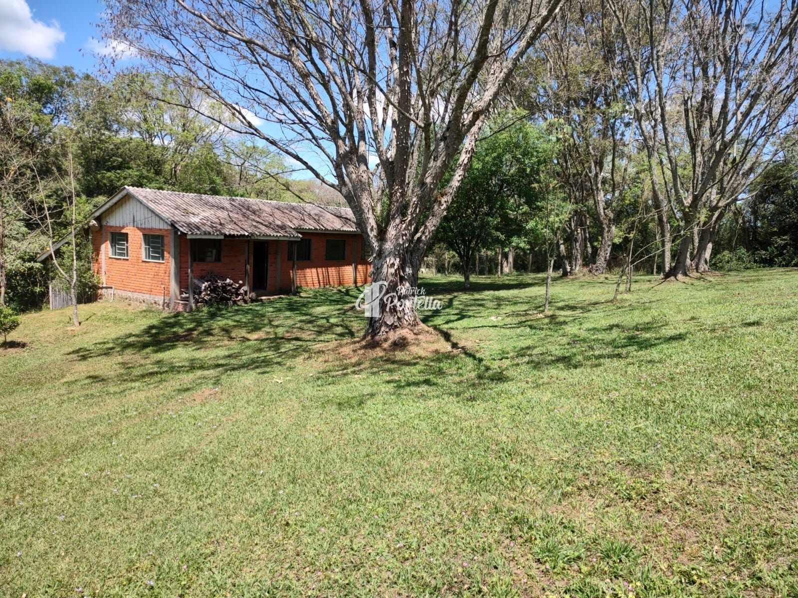 Fazenda à venda com 4 quartos, 94200m² - Foto 13