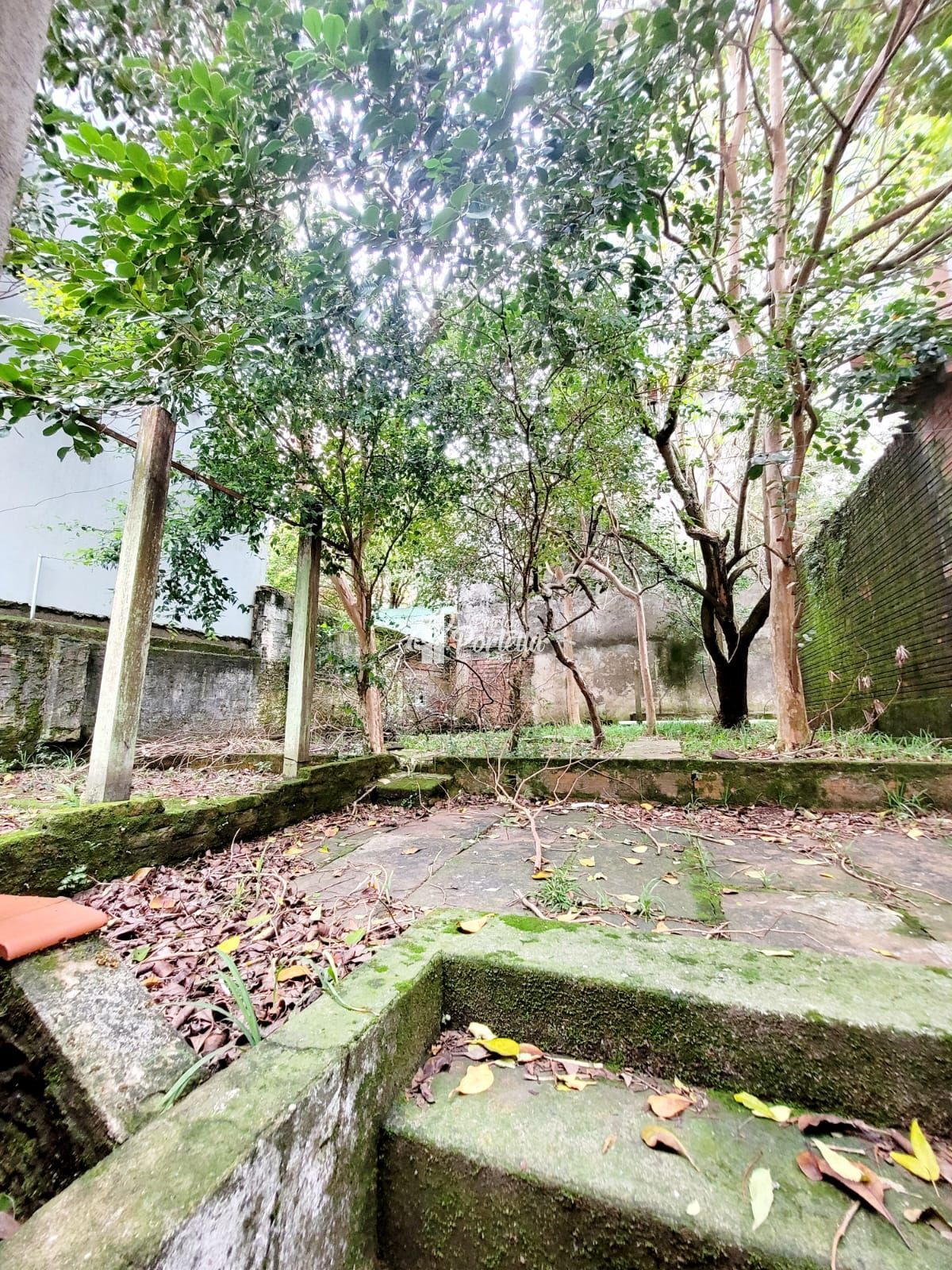 Casa, 4 quartos, 225 m² - Foto 22