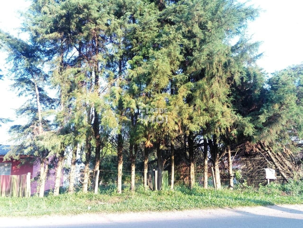 Frente Estrada Eduardo Duarte