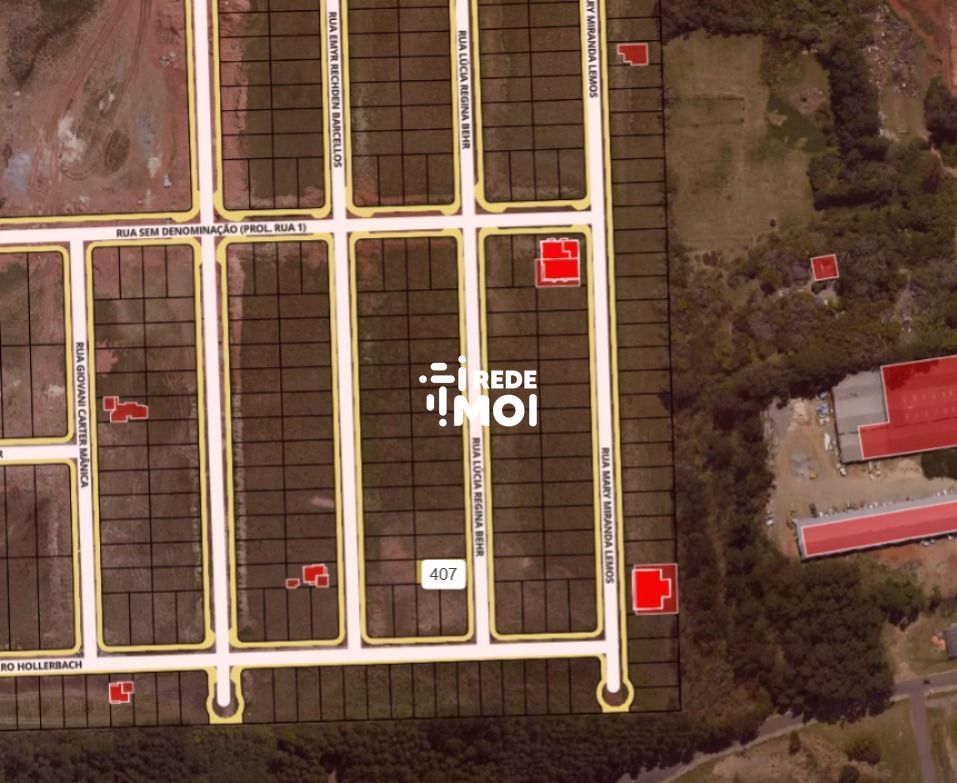 Lote 407