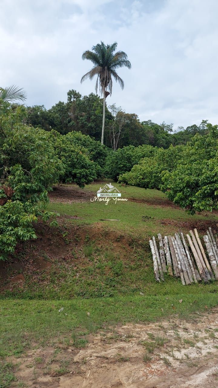 Fazenda à venda com 3 quartos, 4m² - Foto 4