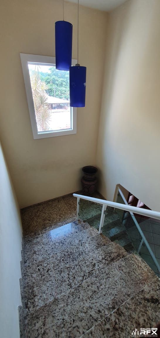 img13515082